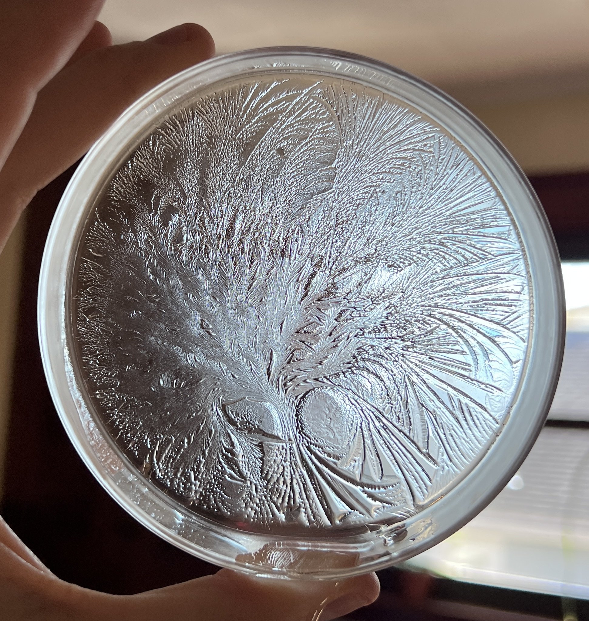 Close-up of a person's hand holding a glass with a textured surface, revealing snowflake-like patterns on the interior surface of the glass.