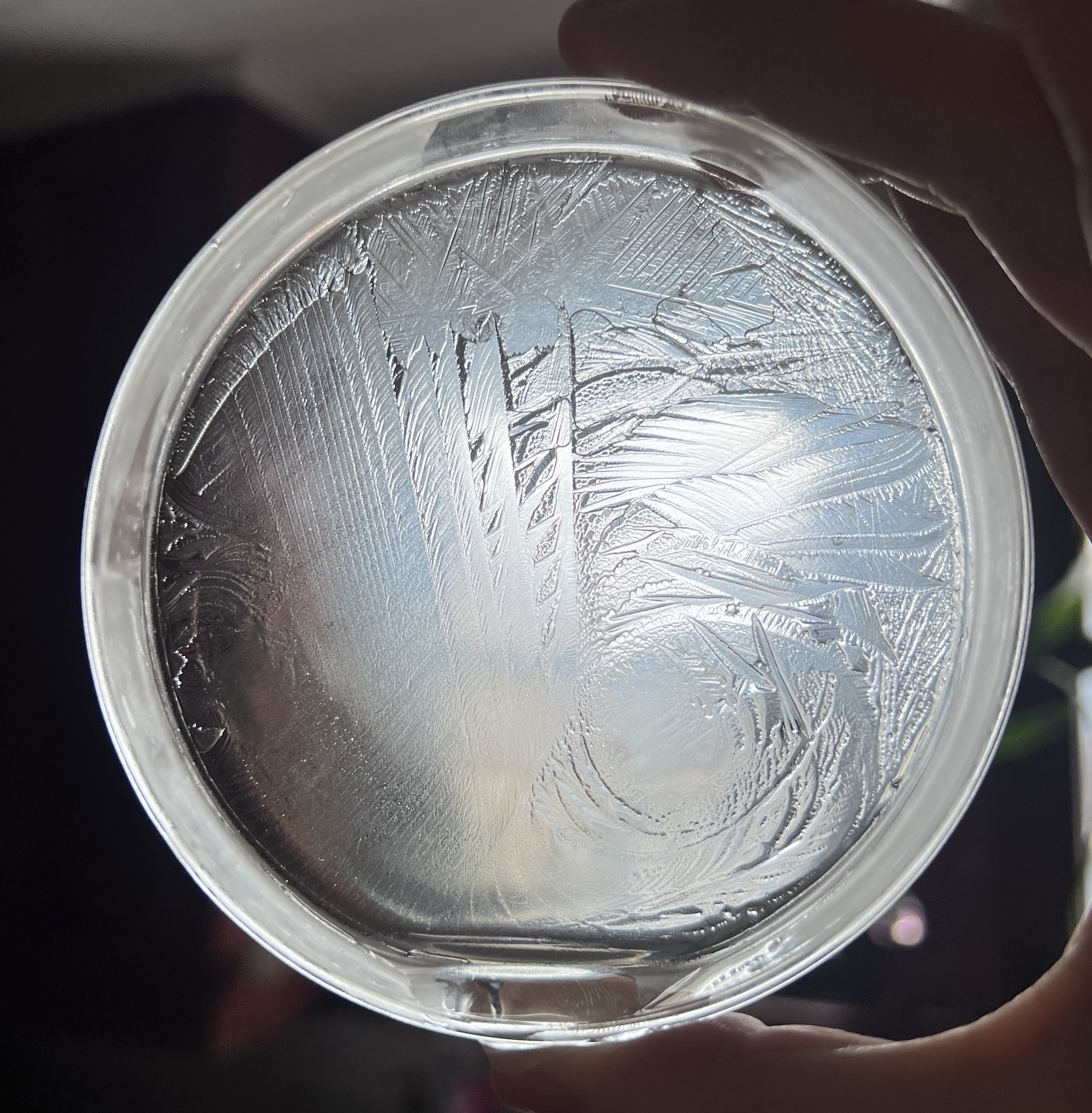 Close-up of a petri-dish with ice patterns and hydroglyph