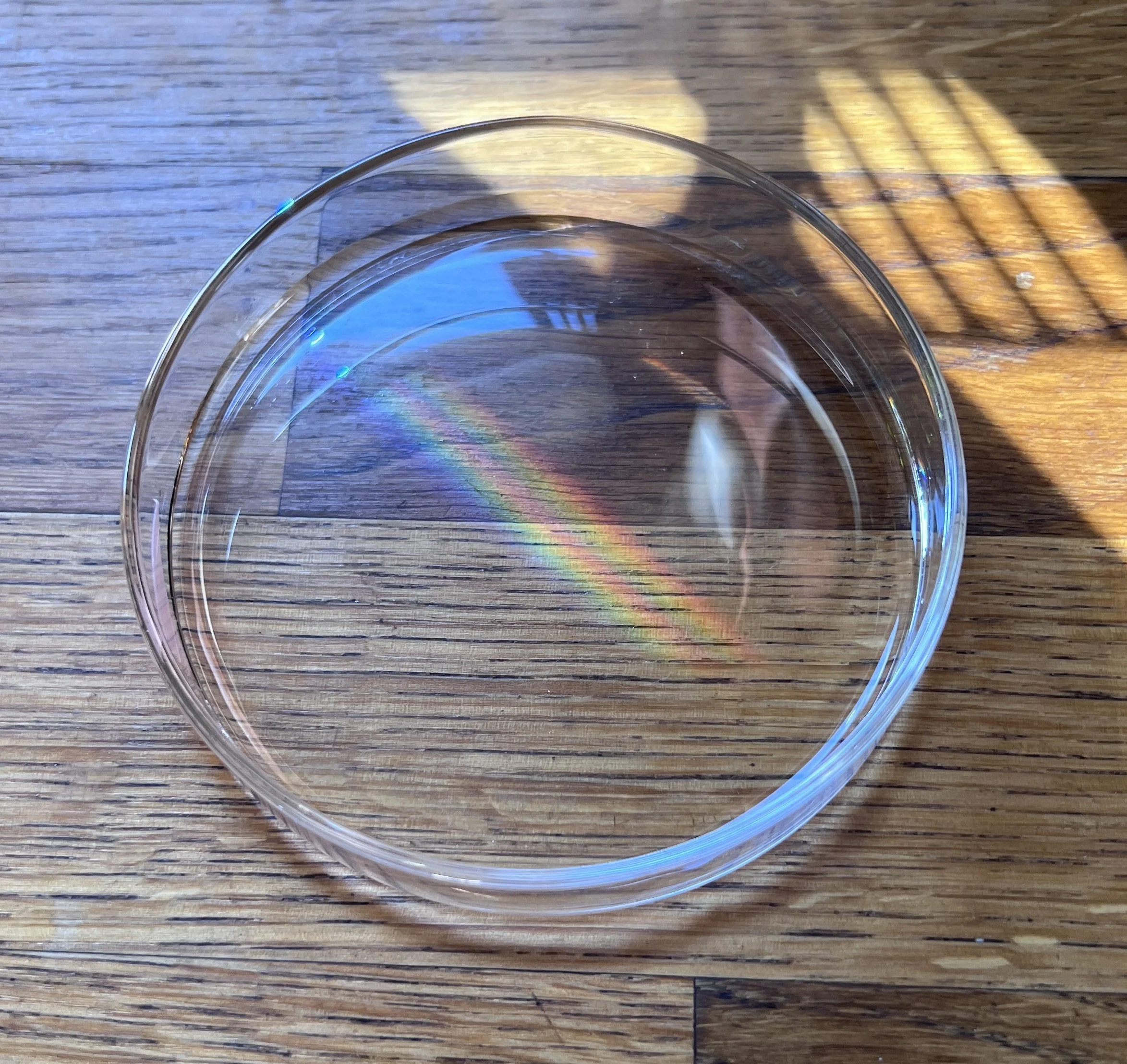 Close-up of a petri- dish with rainbow exposure sitting on a wooden surface.