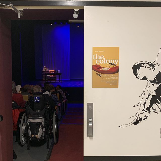 Opening night - so excited for a packed house tonight. Two more performances tomorrow and Sunday! #thecolonyshow #ants #worldpremiere #performance #artscience