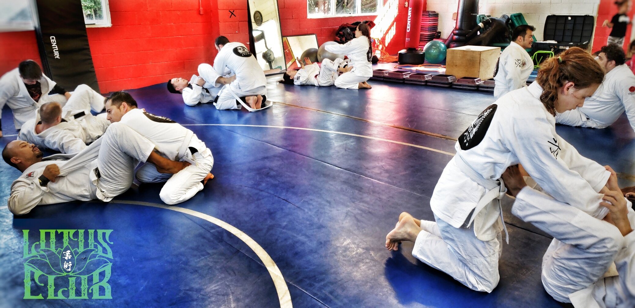 Contact — Lotus Jiu Jitsu Seattle