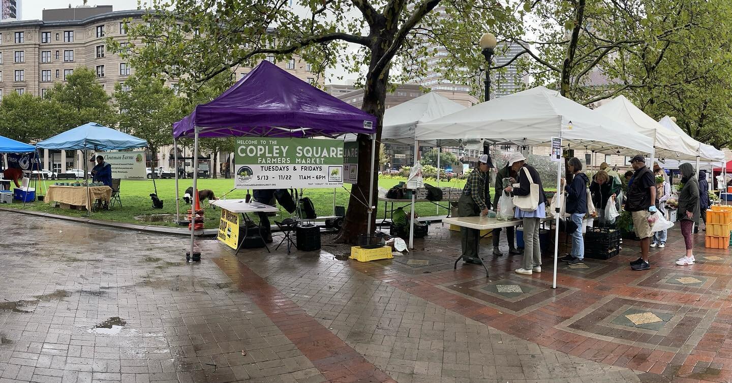 A small but mighty market on this drizzly day: produce, protein, cheese, mushrooms, baked goods all represented. Come on down &mdash; we're open!