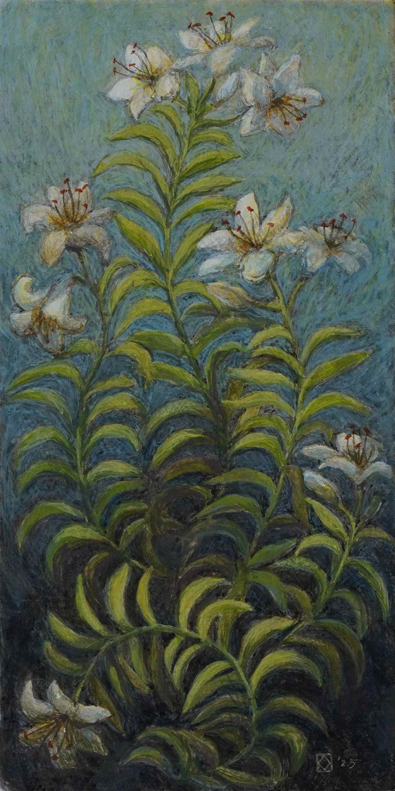 Lily of the Field, 2025