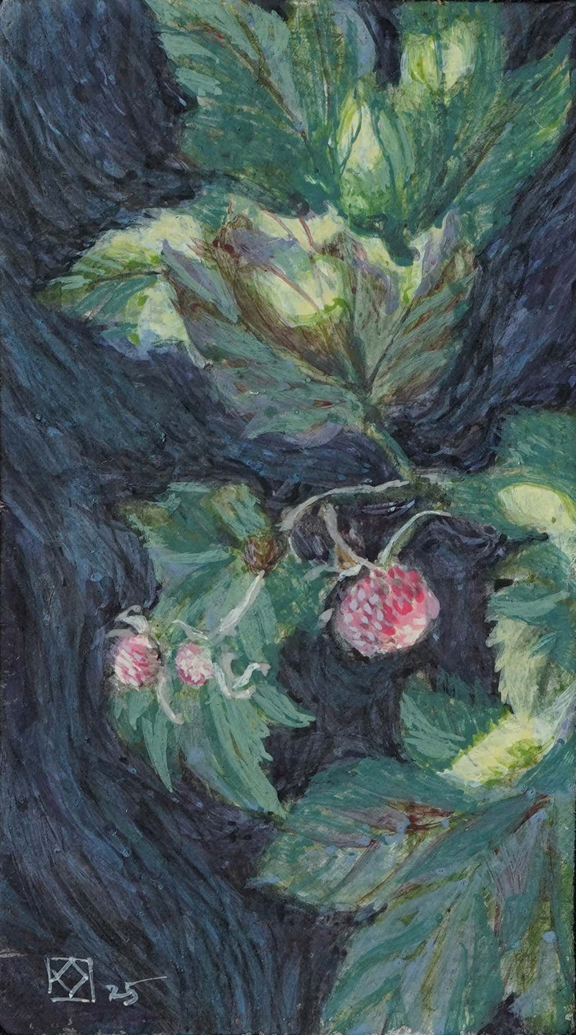 Wild Berries, 2025