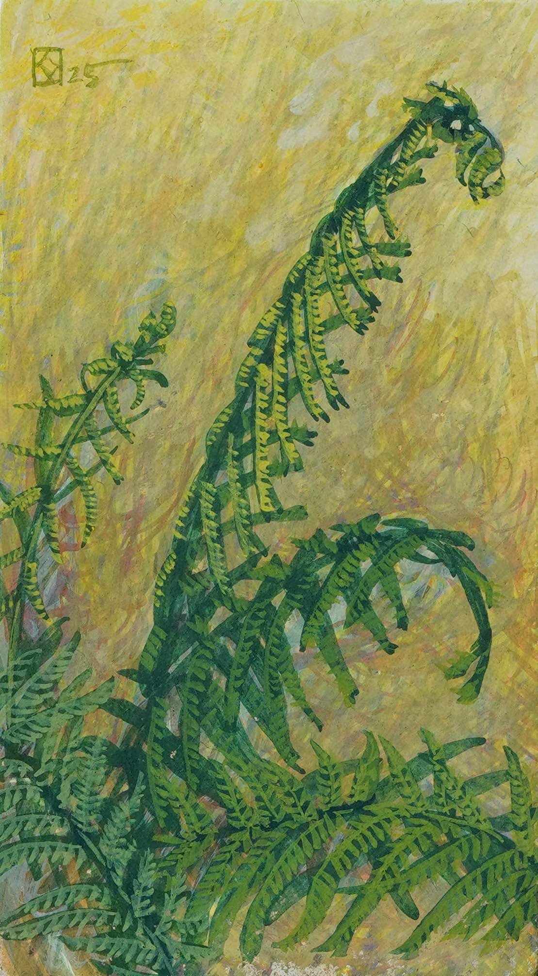 Fern In Light, 2025