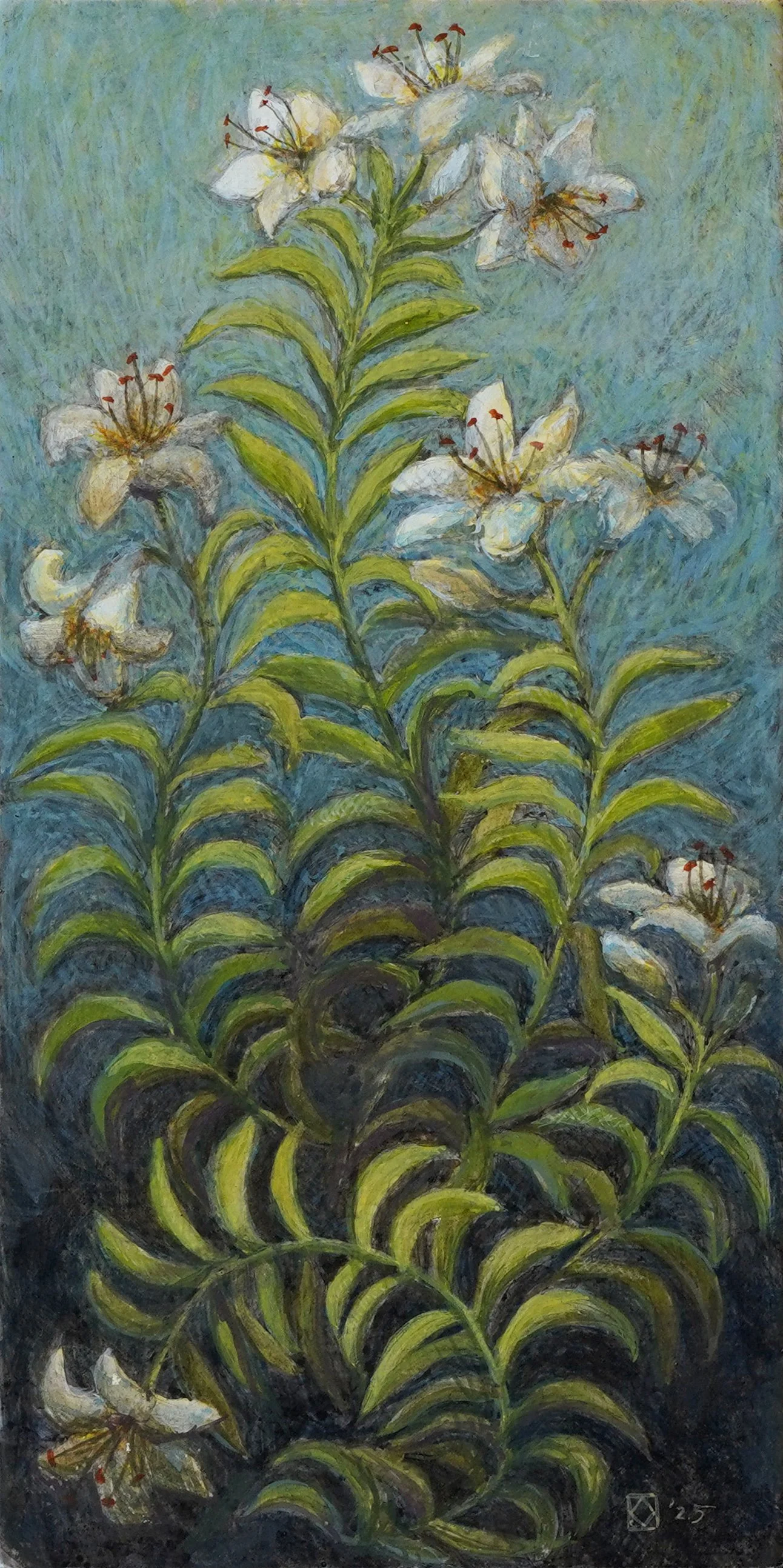 Lily of the field.jpg