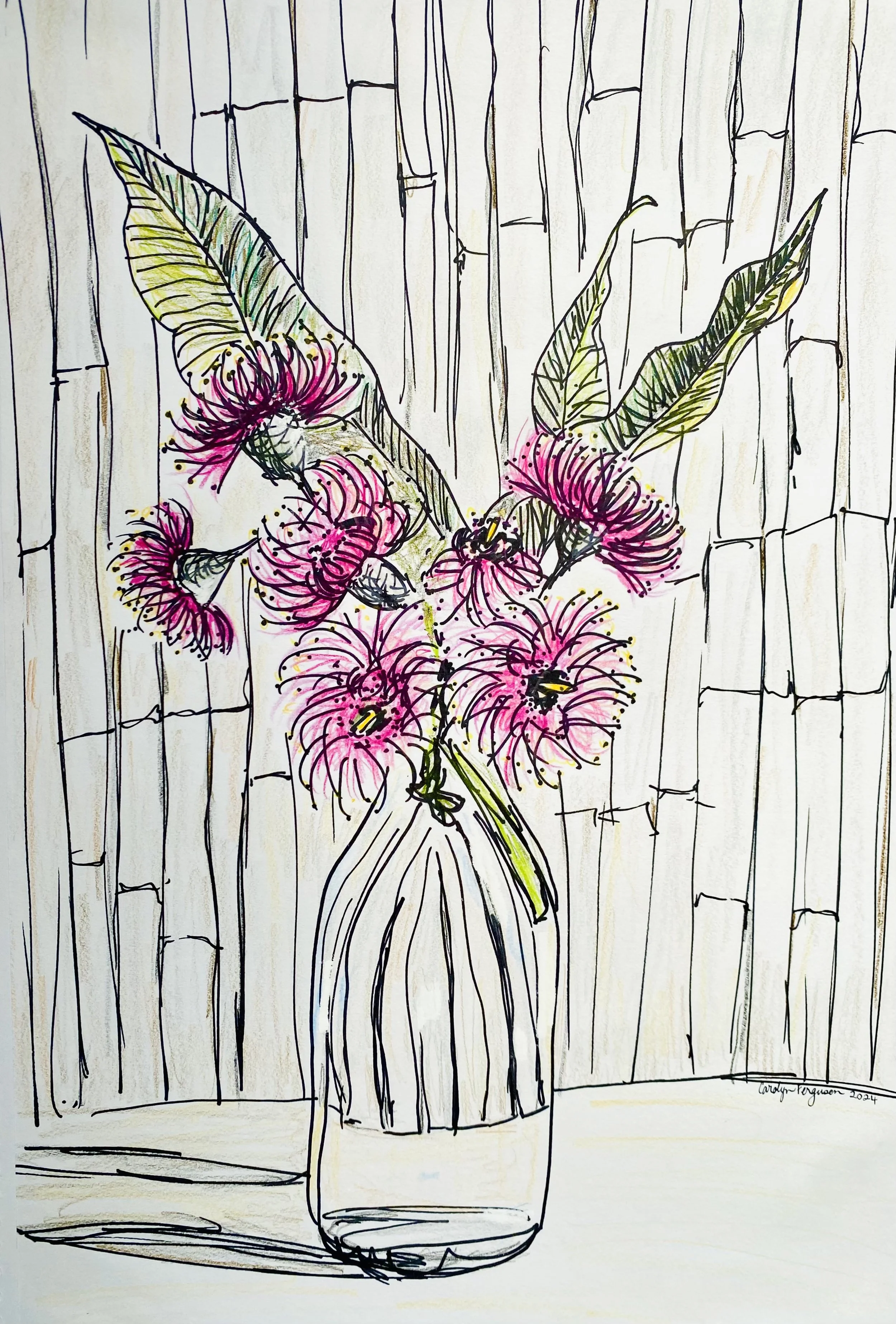 The gorgeous magenta gum blossom