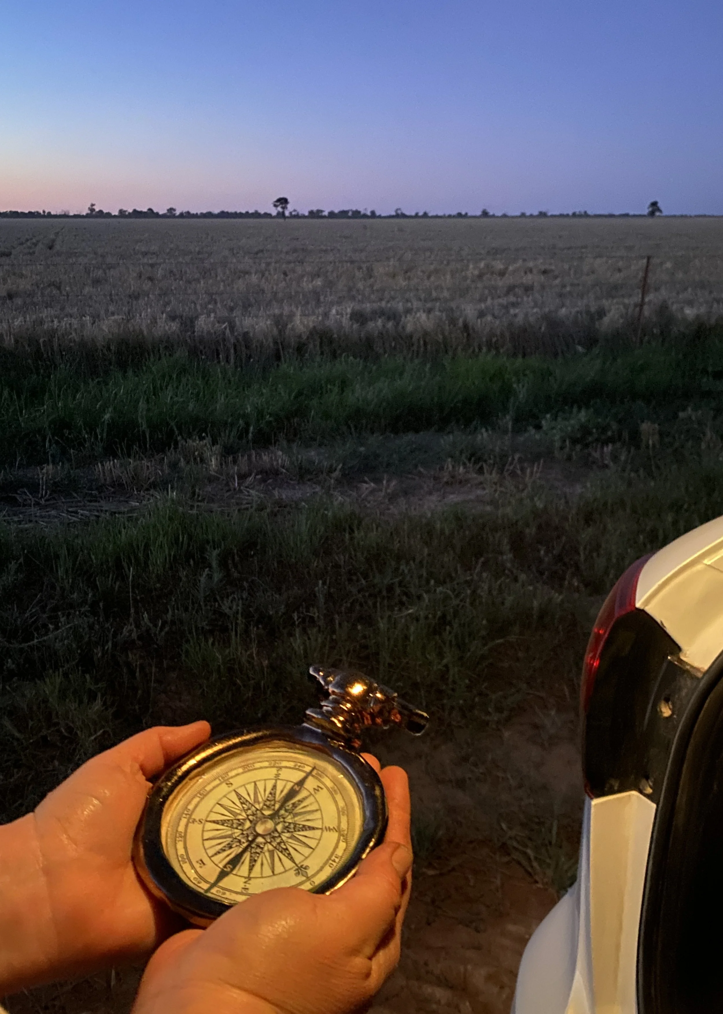 “Looked up to the stars above”