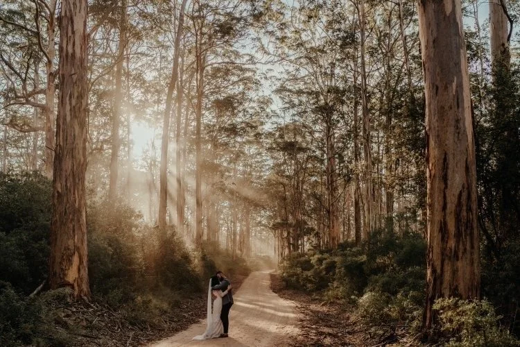 bride and groom kissing on their wedding day in the Boranup Forest W.A
