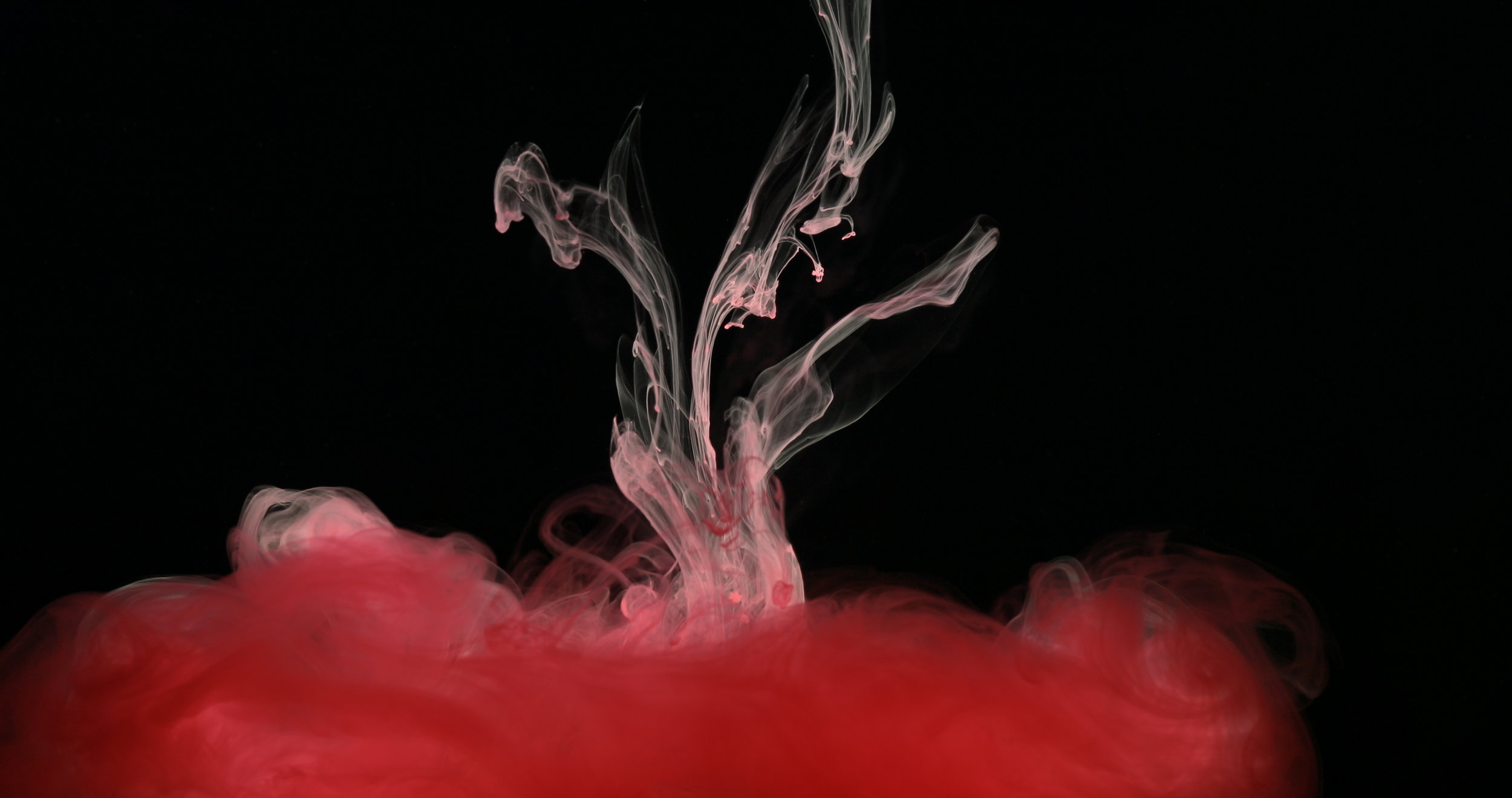 red-ink-paint-in-water-creating-liquid-artistic-P42SJRB.jpg