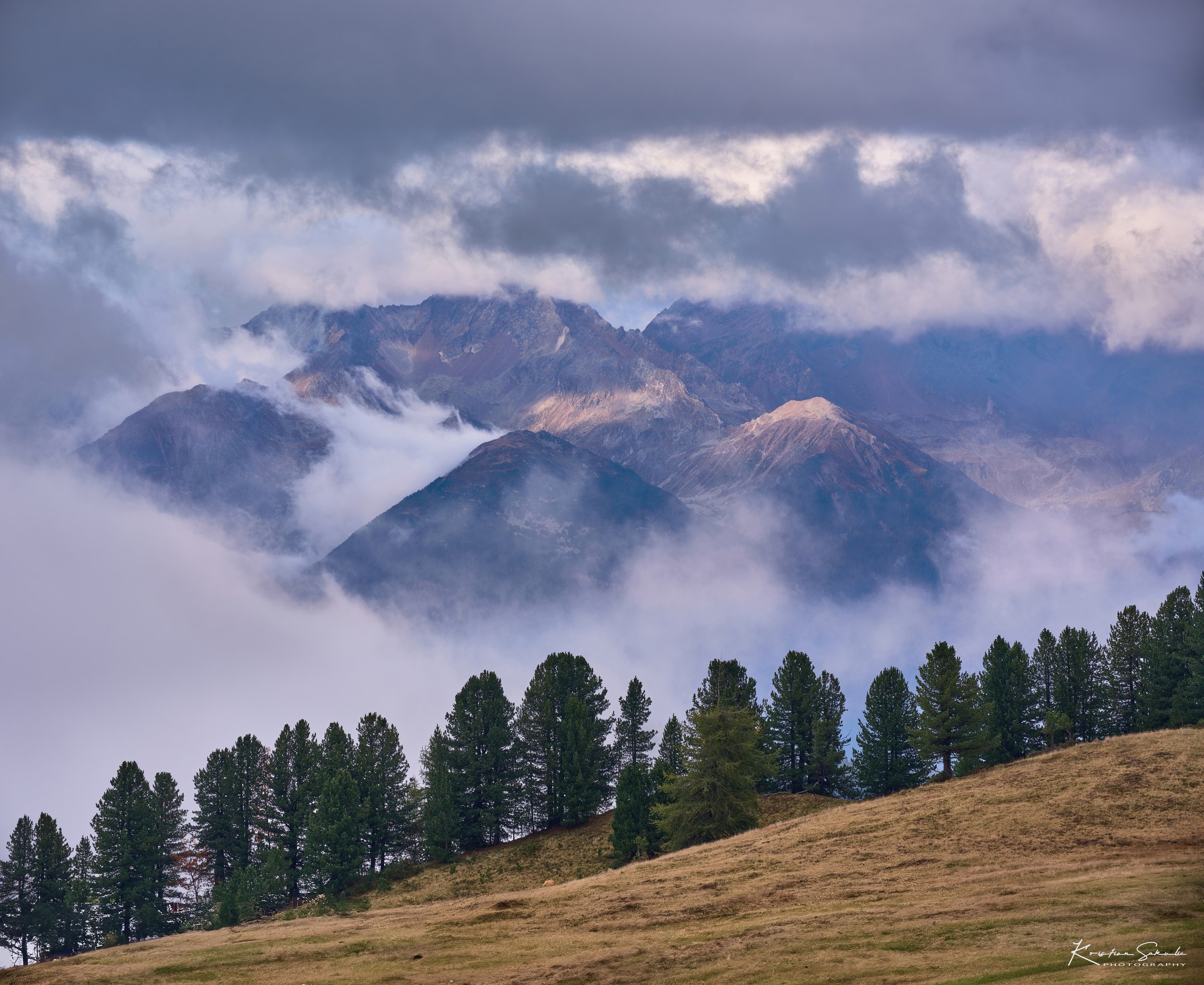 DSCF2153 copy-SharpenAI-Motion-gigapixel-low_res-scale-2_00x.jpg