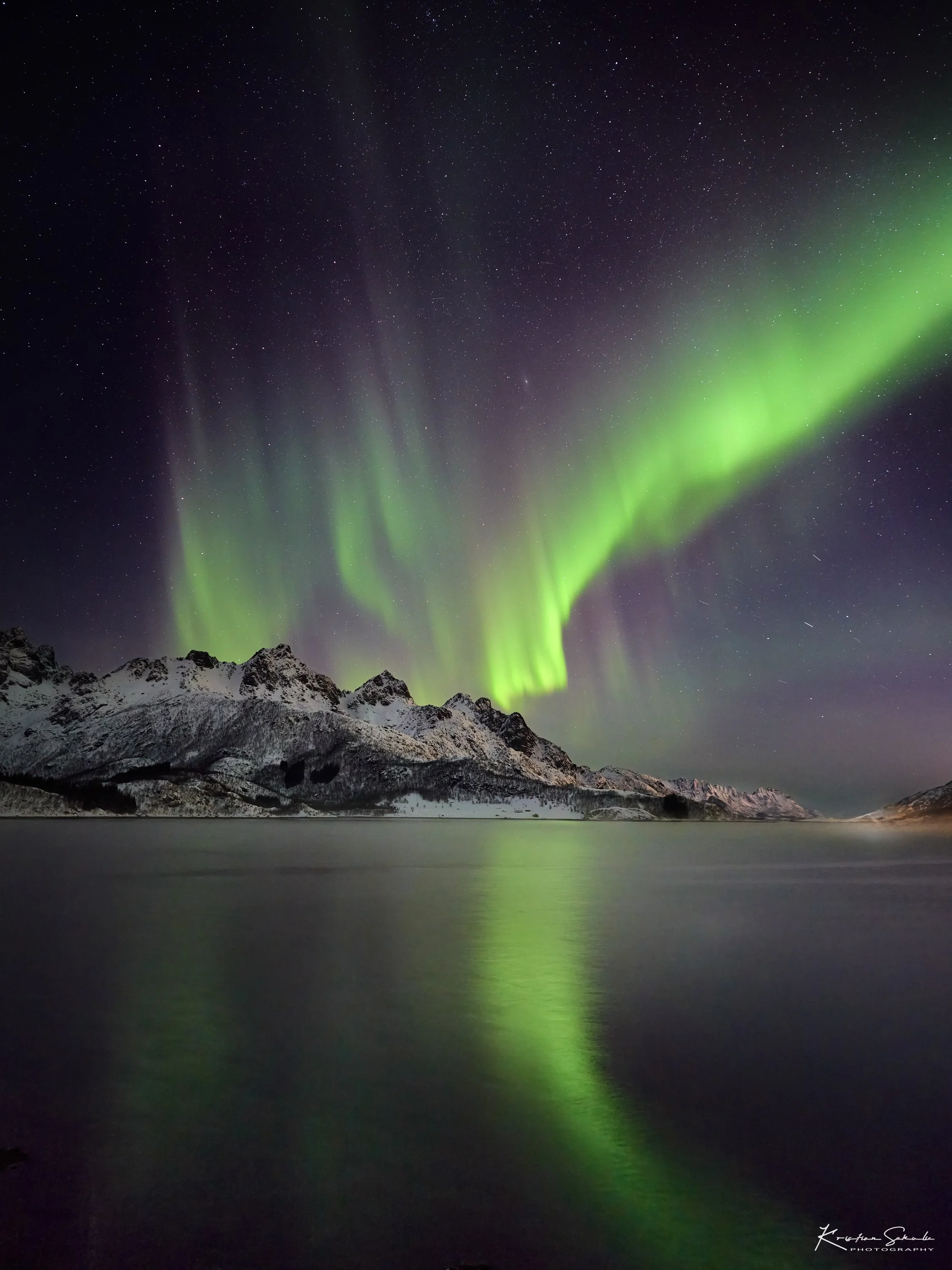 3Z6A3882-DeNoiseAI-clear copy.jpg