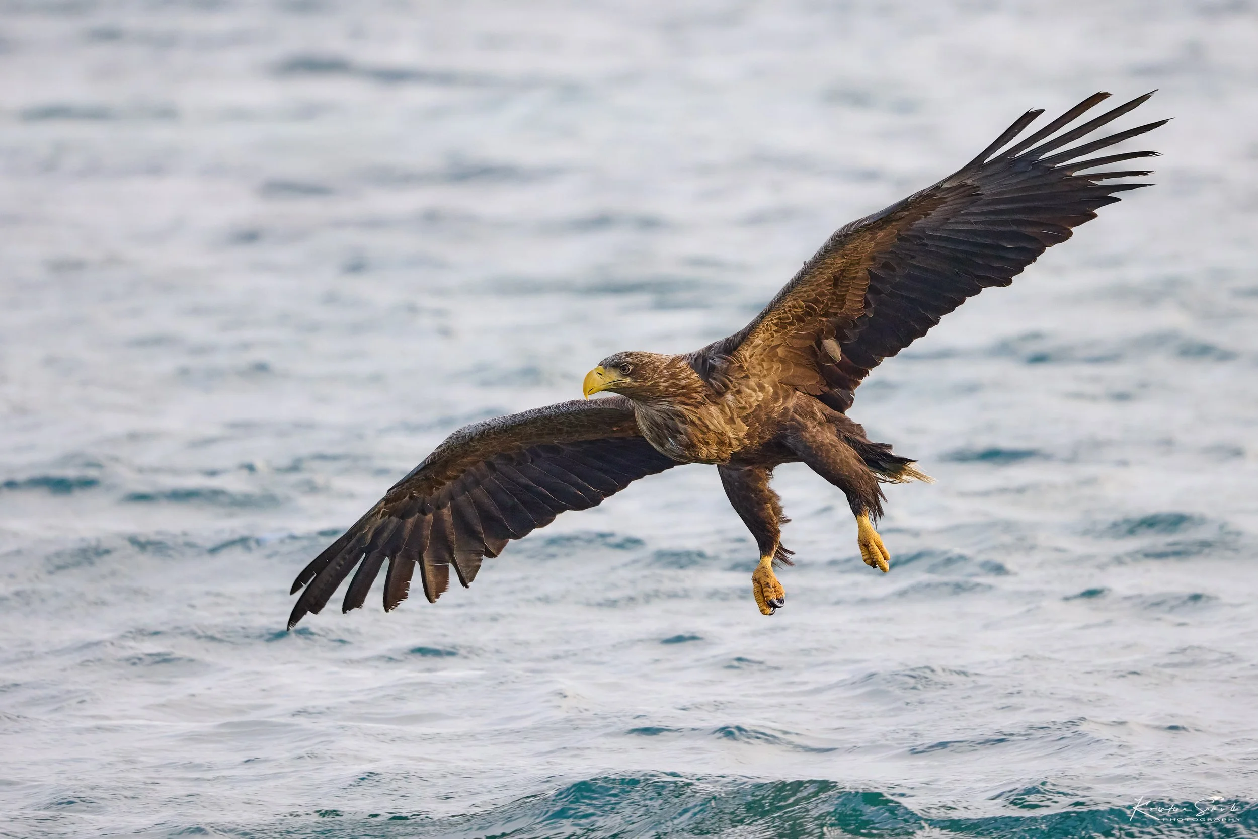 3Z6A4528-SharpenAI-Softness copy2.jpg