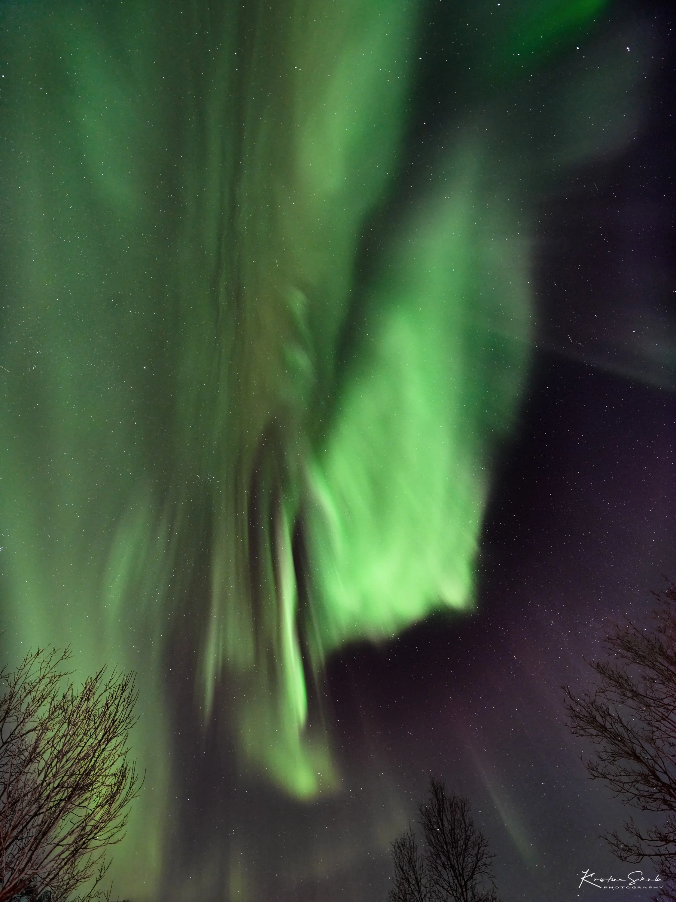 DSCF2889 1 copy-DeNoiseAI-standard copy.jpg