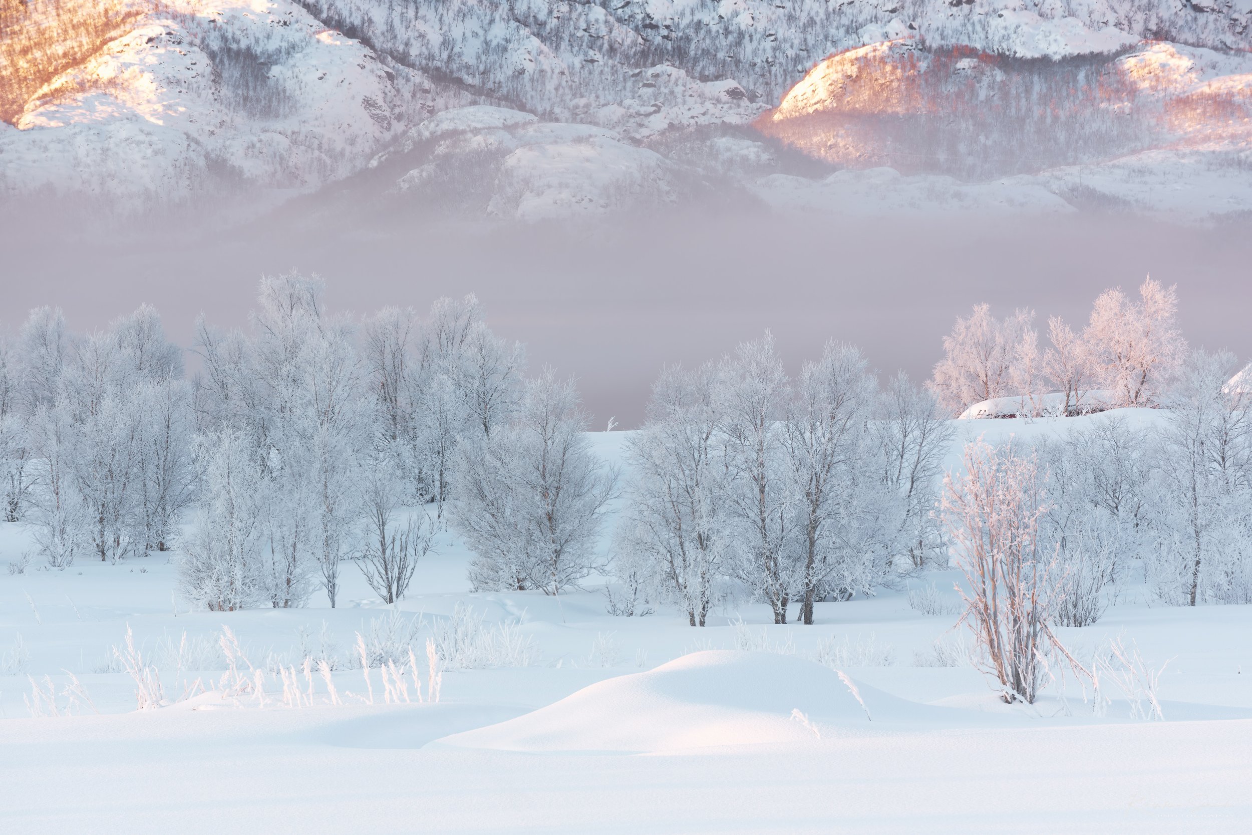 DSCF3552-SharpenAI-Softness copy.jpg