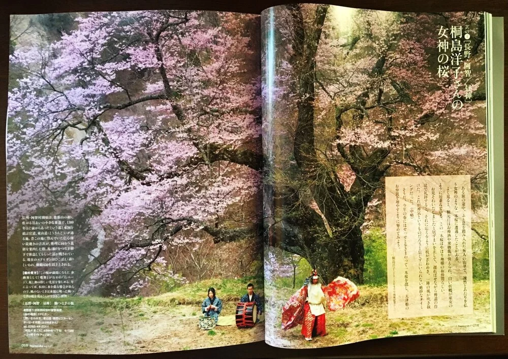 婦人画報(４月号)