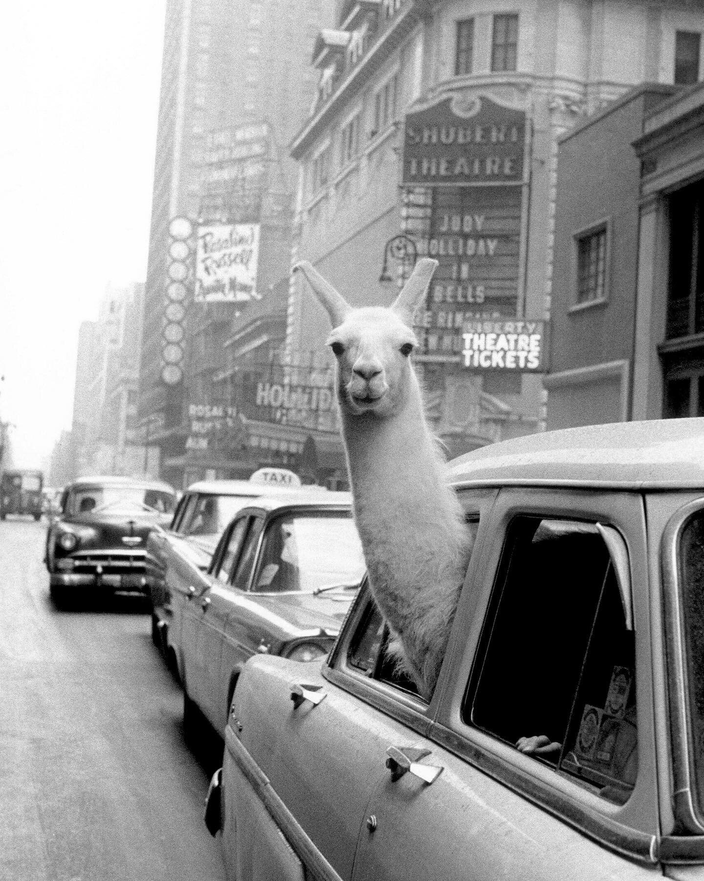 New episode🎧: Quality control. We discuss separating the good ideas from the bad, balancing frequency and merit, and learning to say no to yourself.
Listen via the link in bio ♾
Photo by Inge Morath, used in the 1957 LIFE article, &lsquo;High-paid l