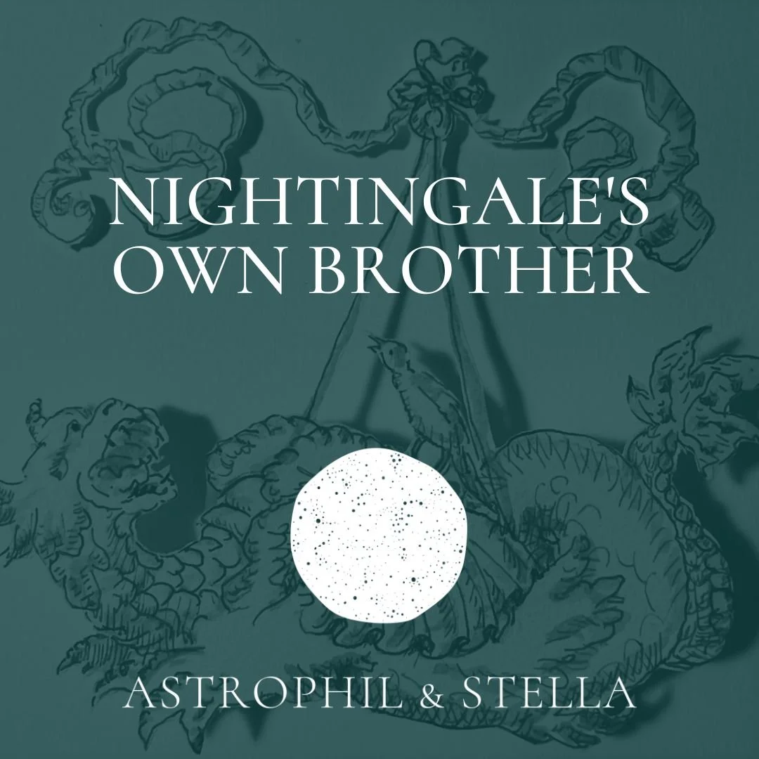 Der Nachtigall leiblicher Bruder - Nightingale's own brother 