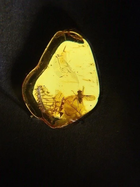 Illuminationen Nr. 5 - Automat und Organismus