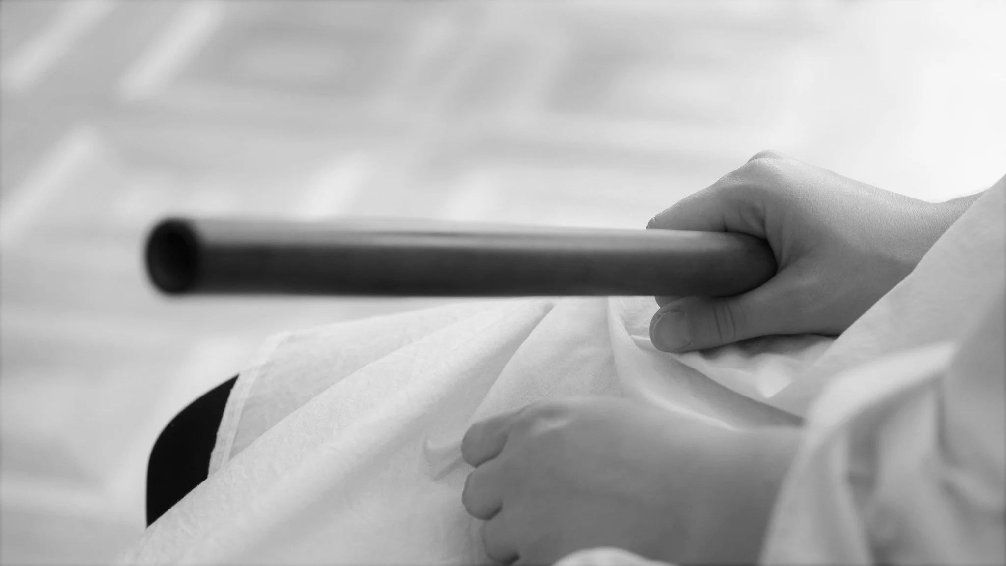 Vortragsabend: Renaissancetraversoklasse Johanna Bartz