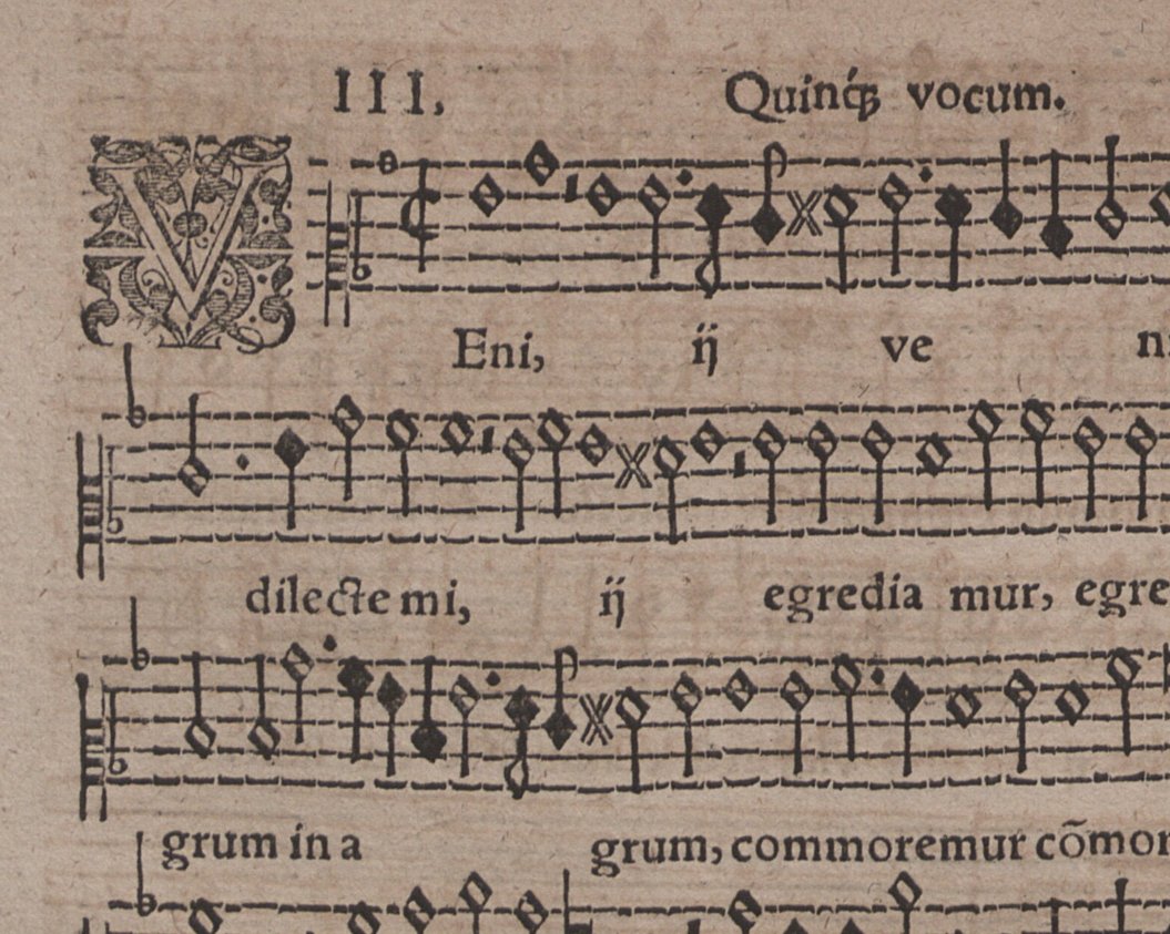 Renaissance aus der Prignitz - Lieder und Motetten von Gregor Lange (1552-1587)
