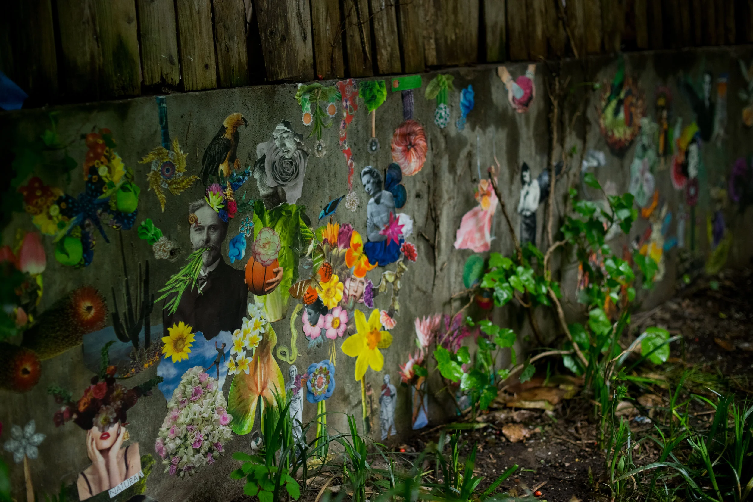 Wall Mural Collaborative Collage