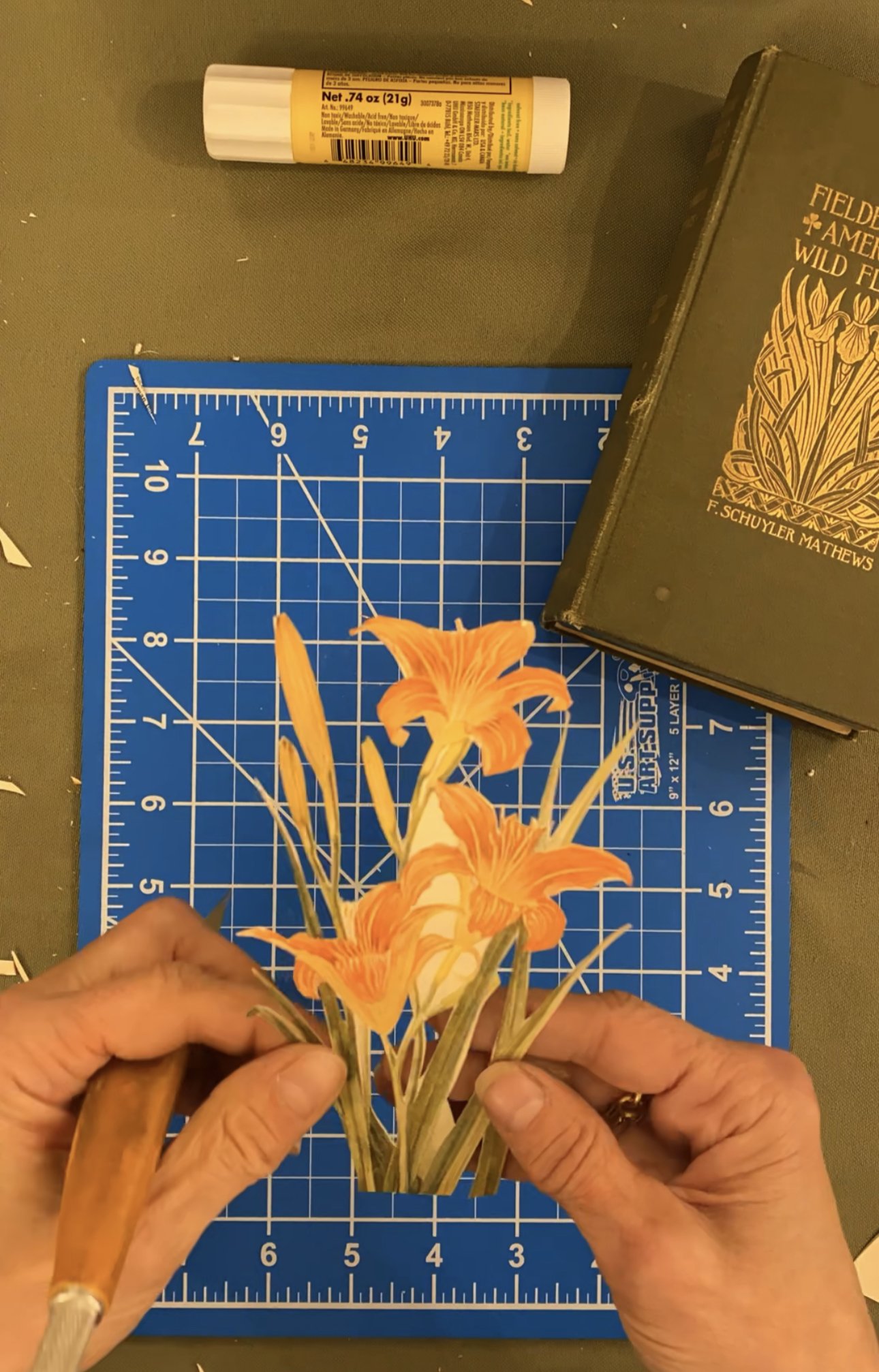 Wildflower Dissection