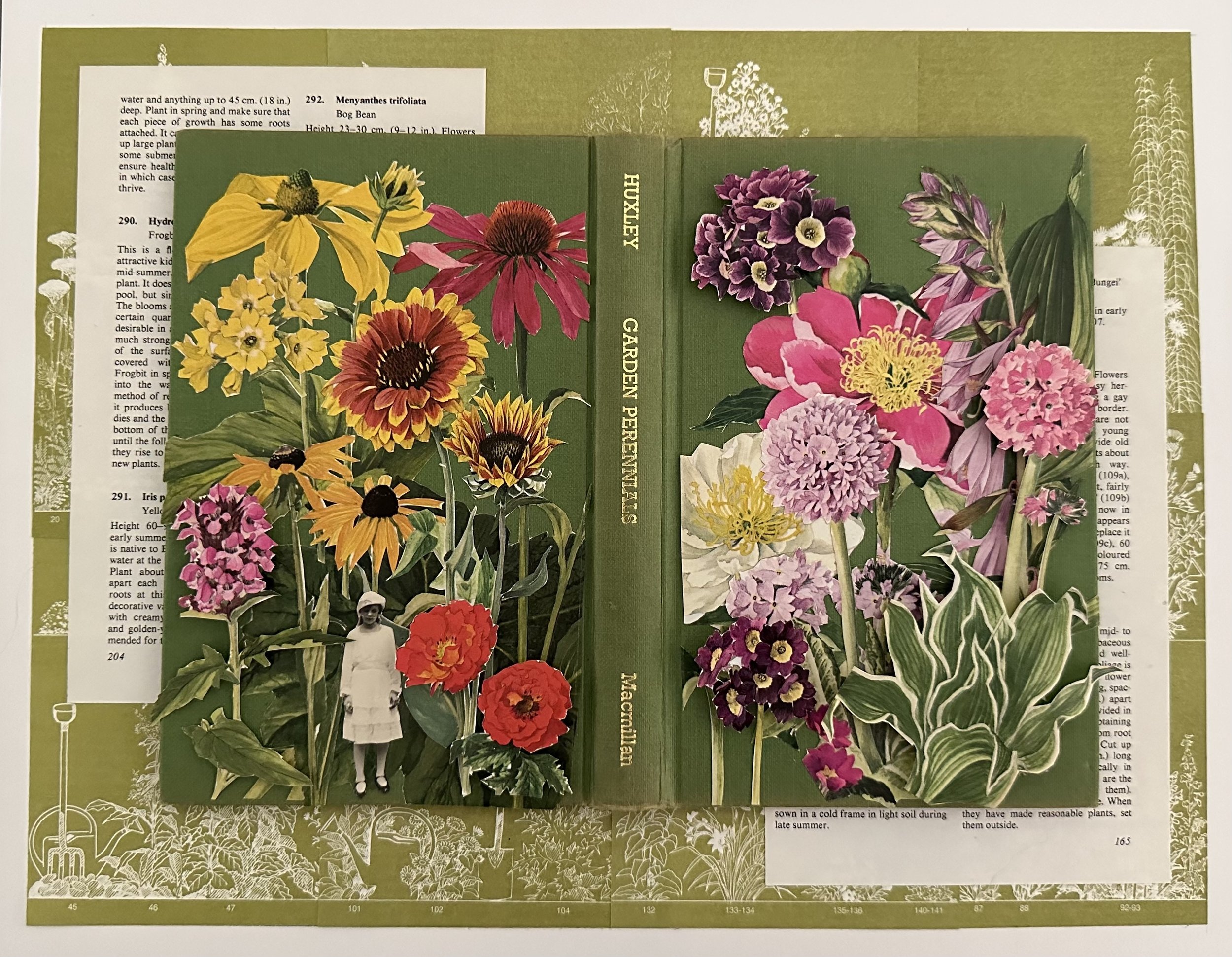 Garden Perennials (1971)