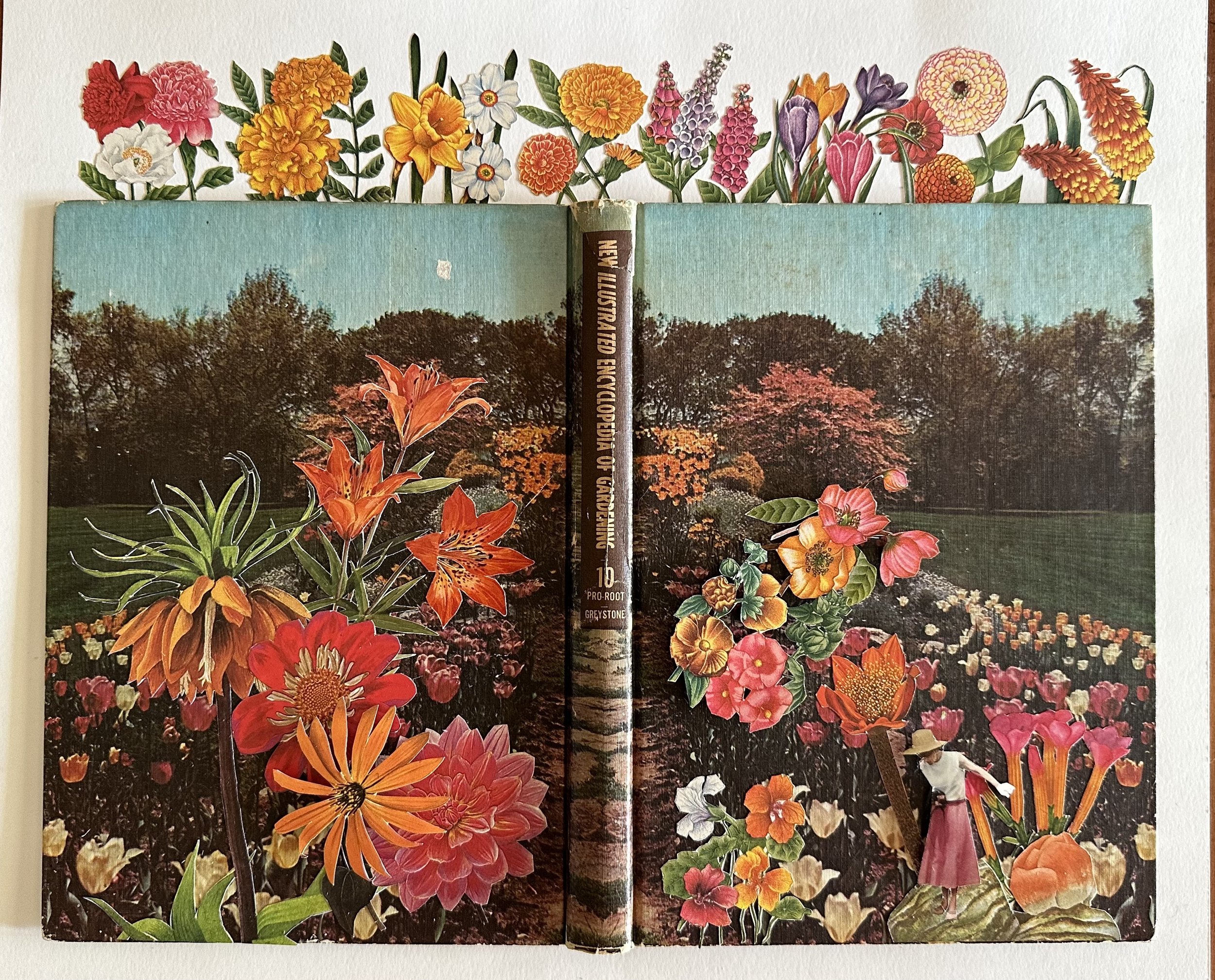 New Illustrated Encyclopedia of Gardening (1960)