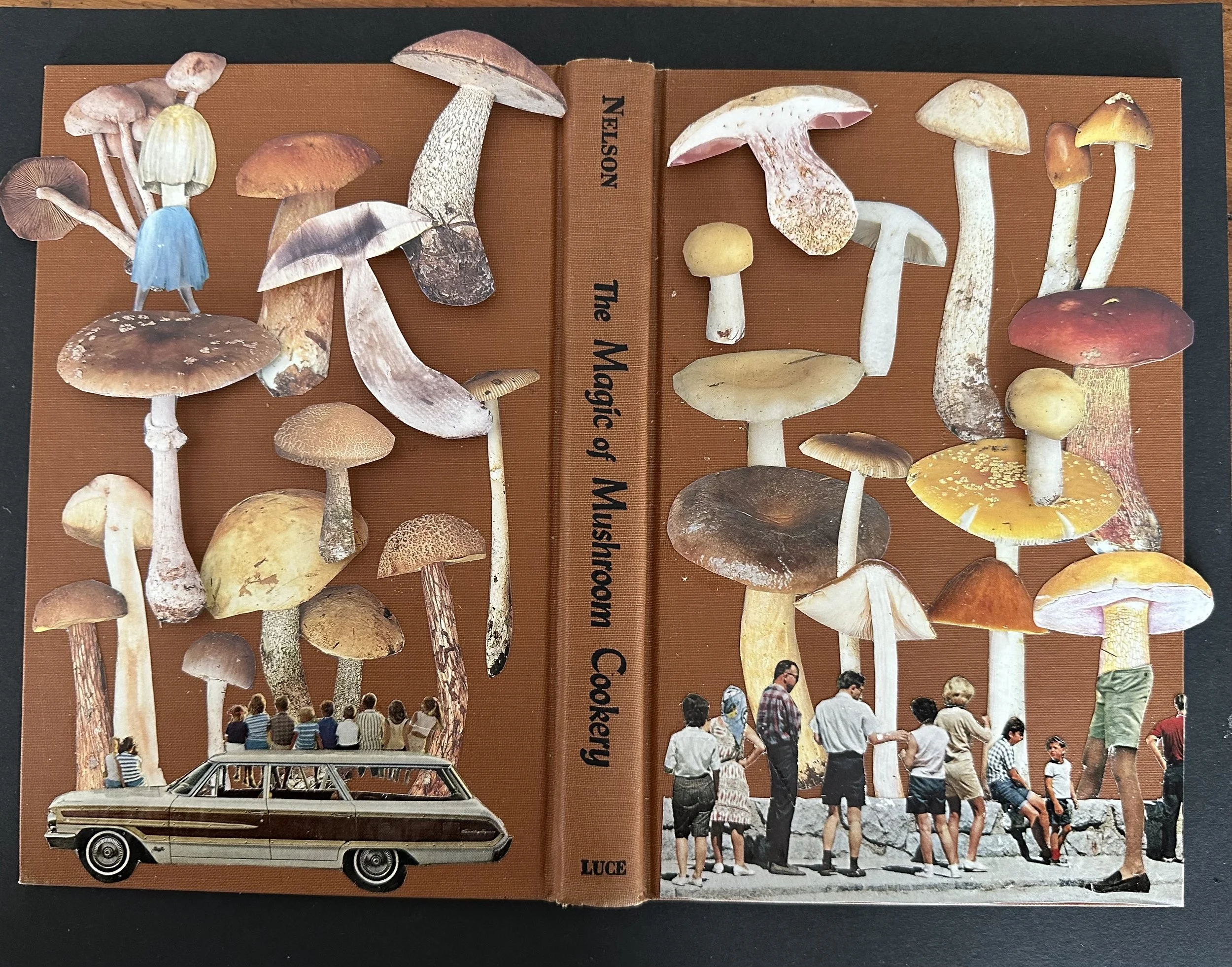 The Magic Of Mushroom Cookery (1971)