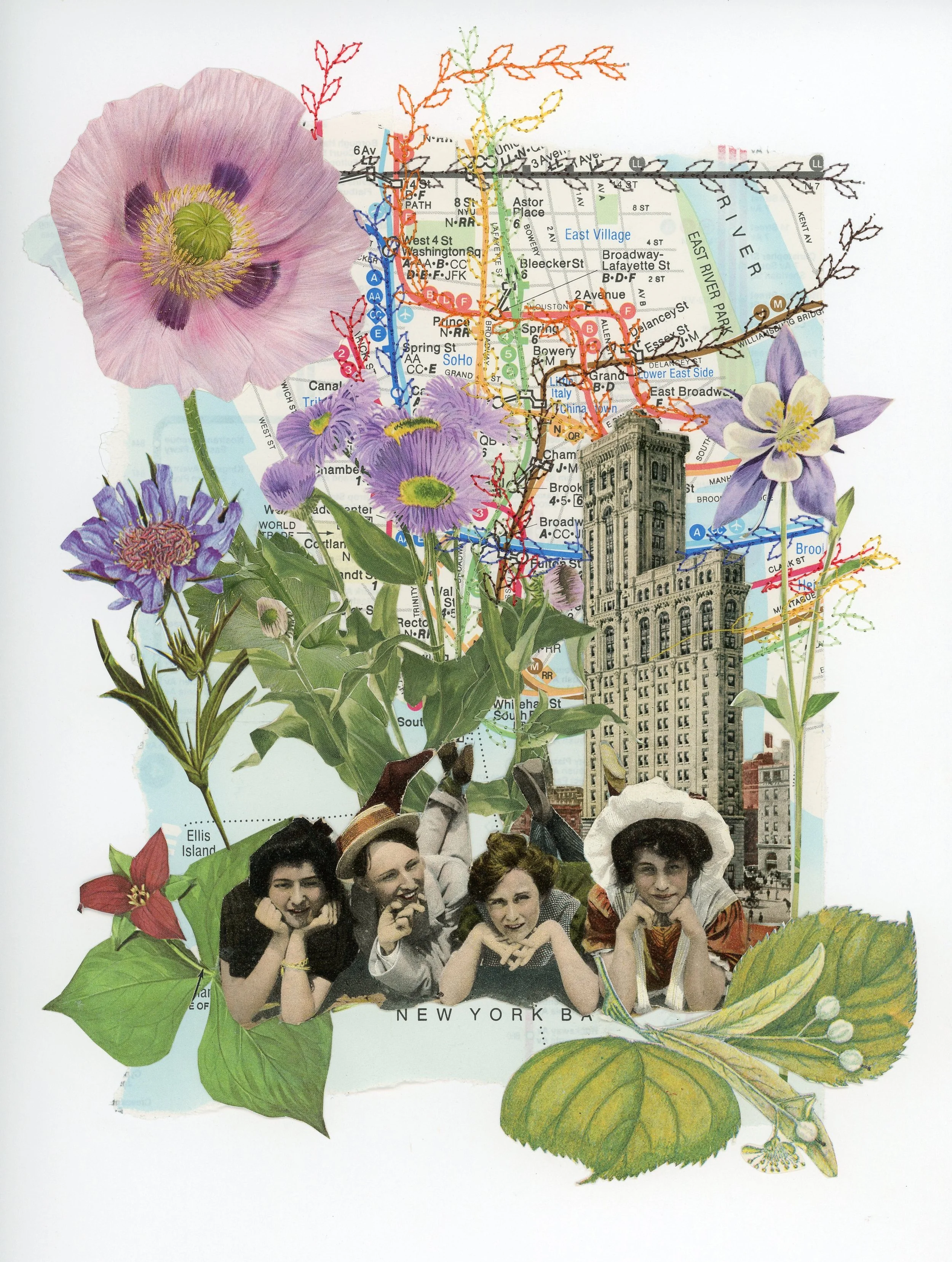 Wildflowers
