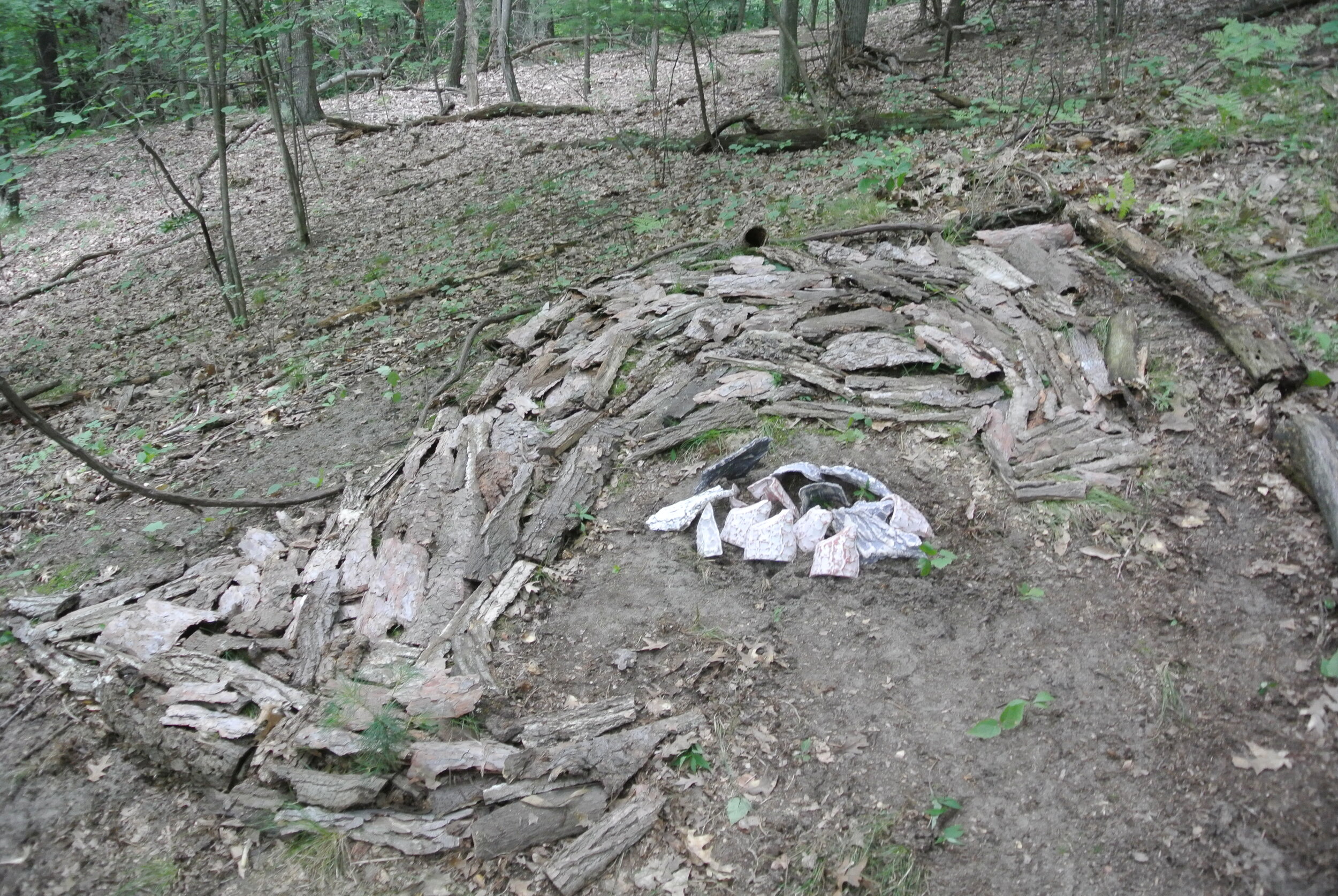 Ground Storm, 2014