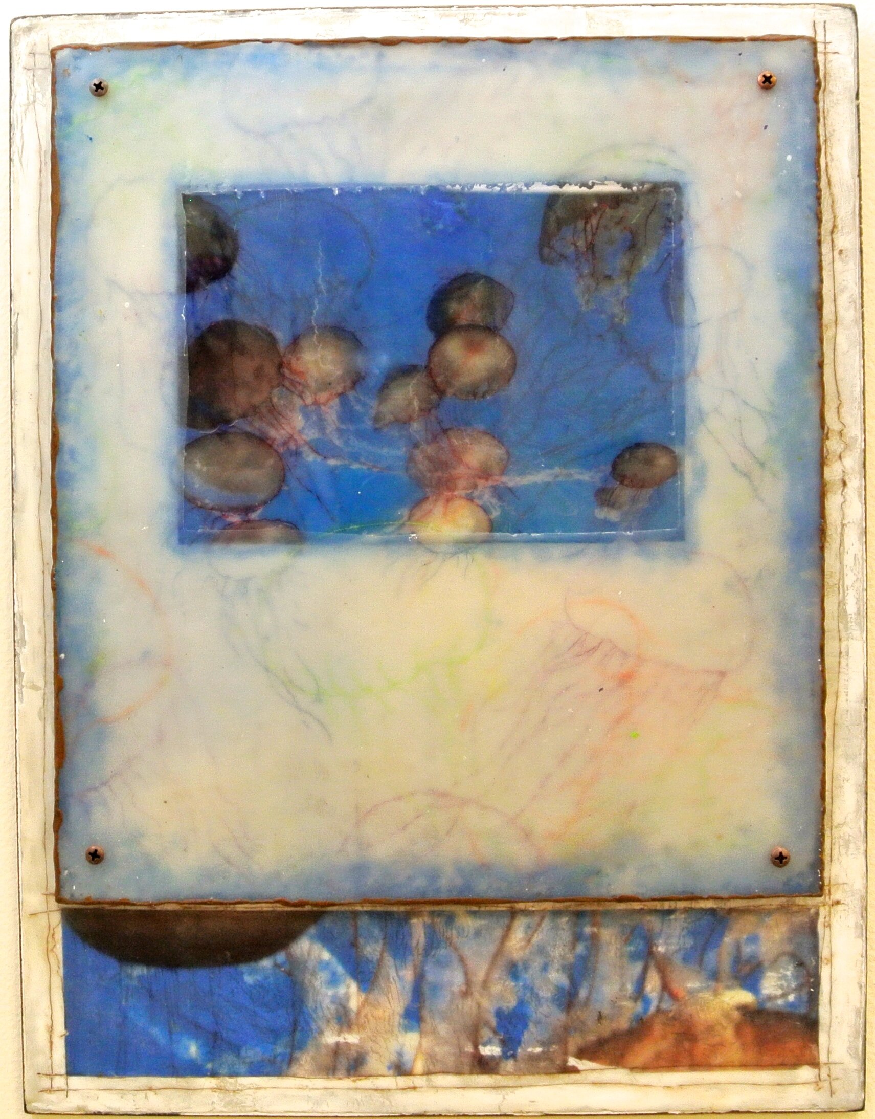 Aquarium, 2014