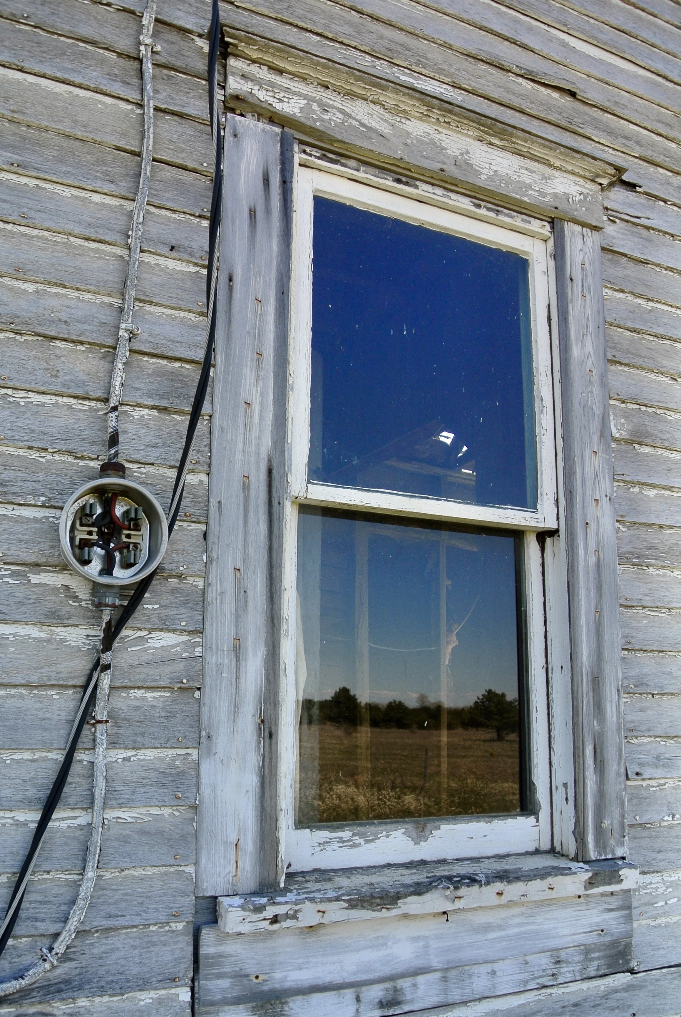 DSC_9656.JPG