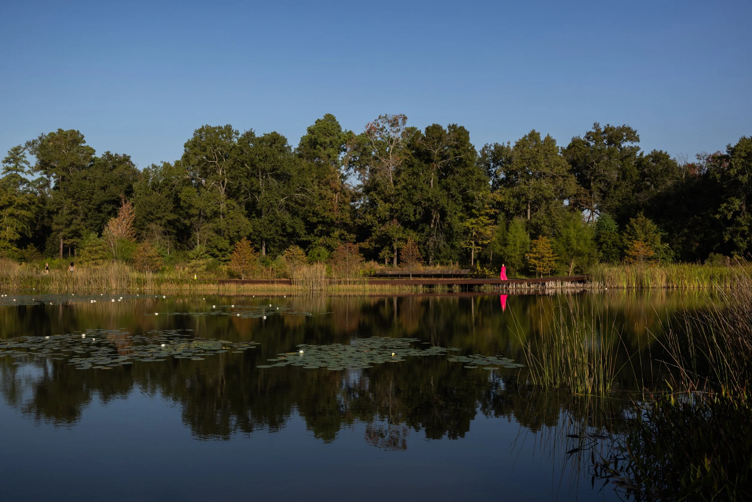 Houston, TX 10/25  Photo: Shani Barel