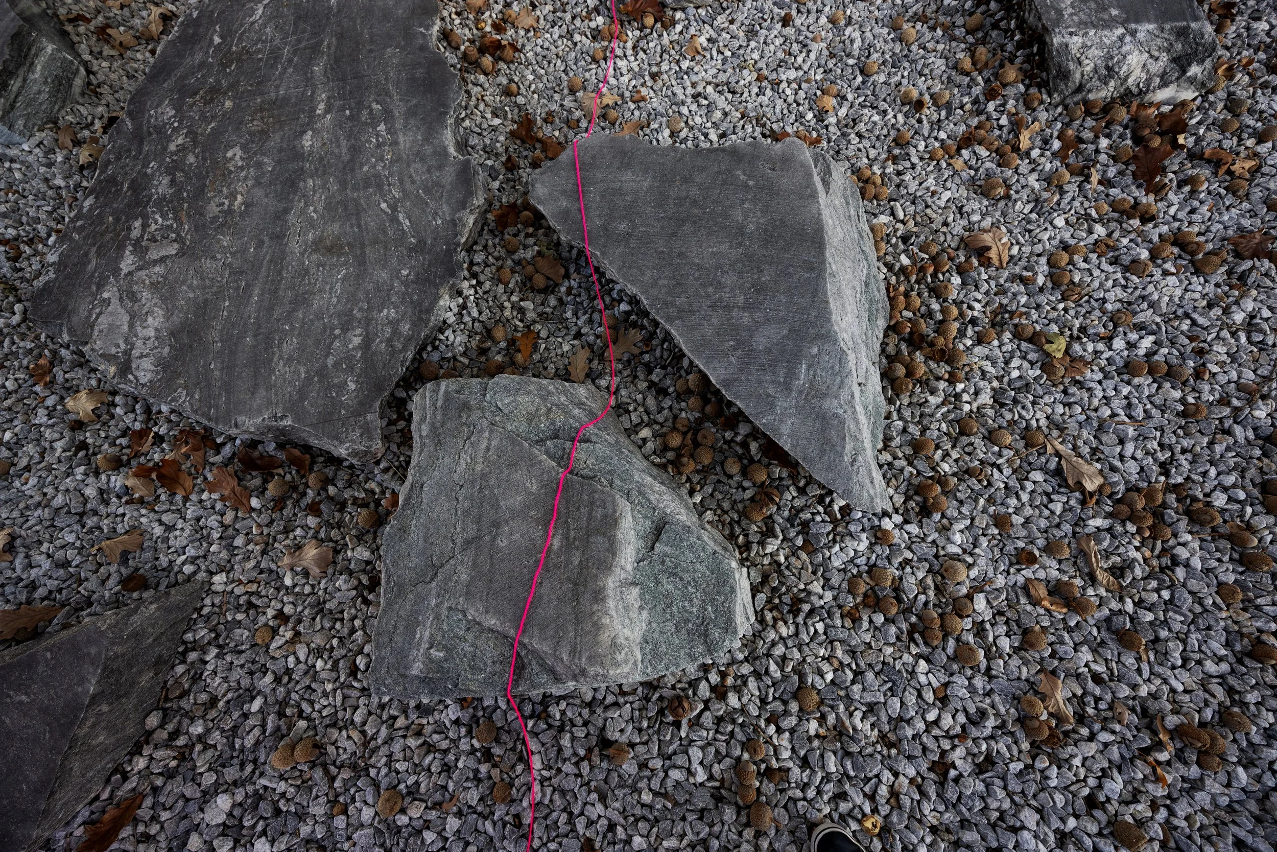 Houston, TX 10/25 Photo: Shani Barel