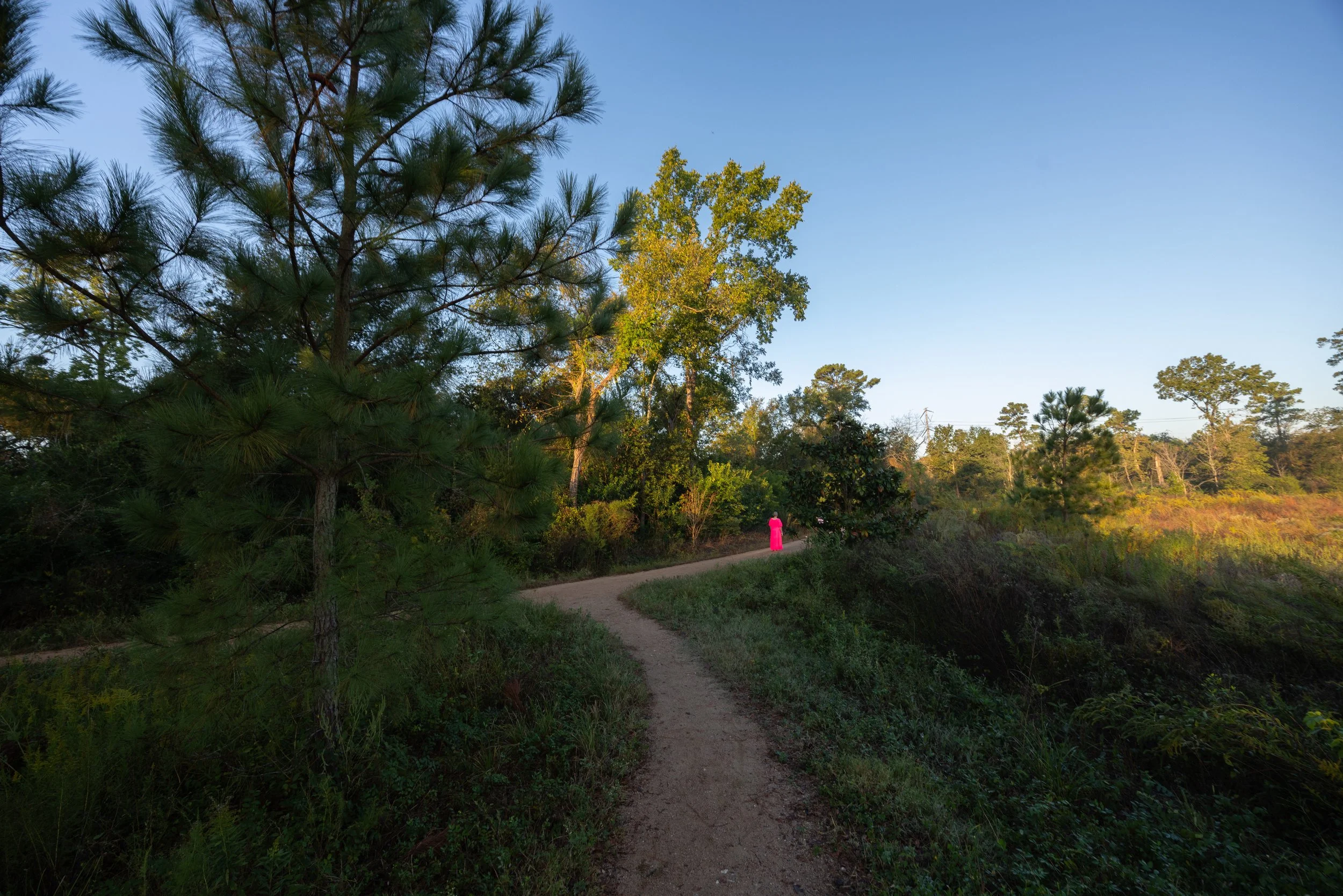Houston, TX 10/25 Photo: Shani Barel