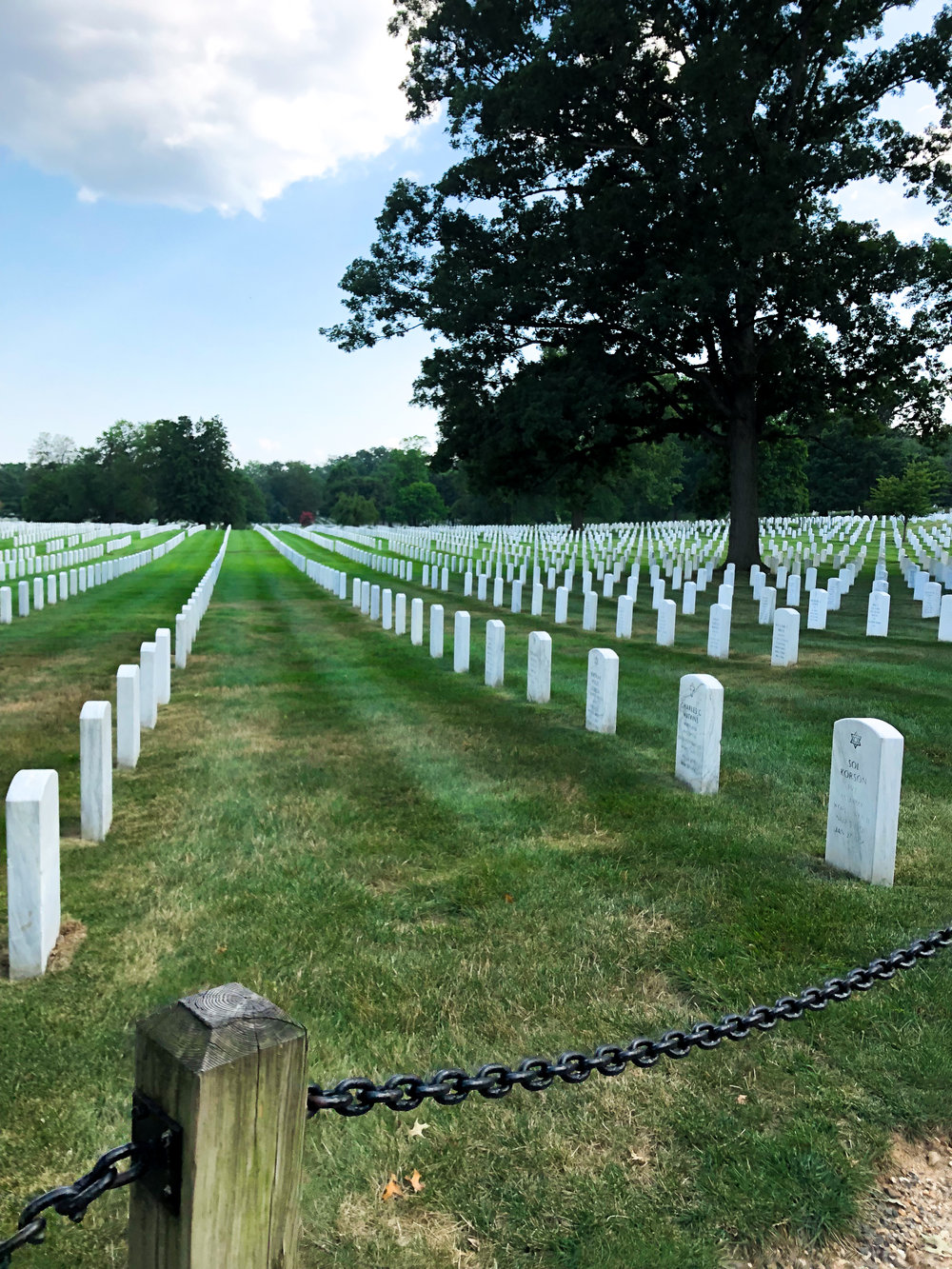  Arlington Cemetery 