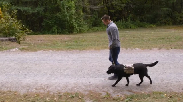 The Falling and The Rising