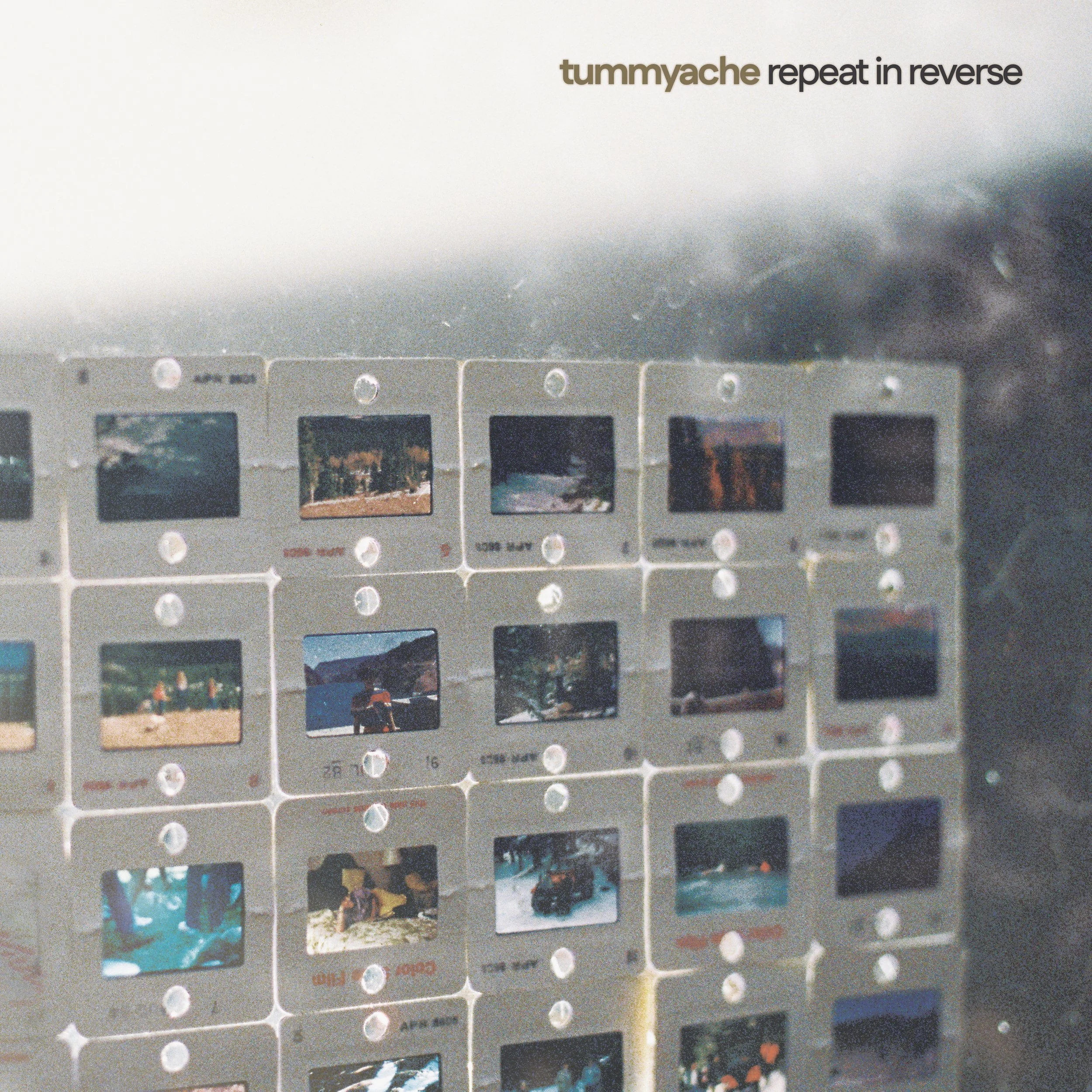 TUMMYACHE R&R FRONT-1.jpg