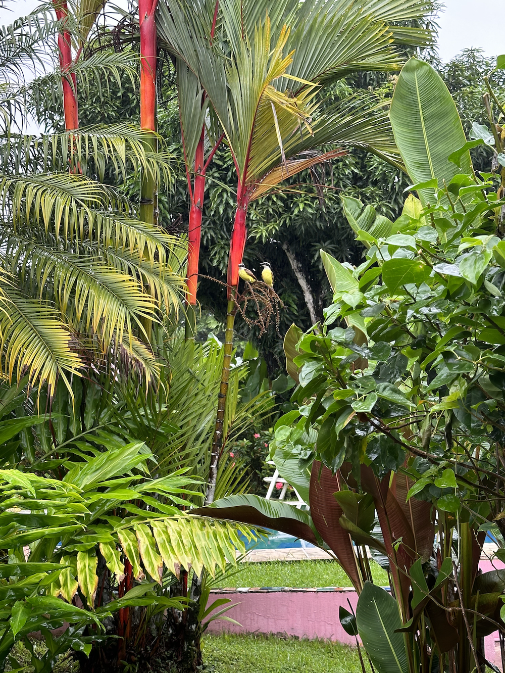 Screen Shot 2024-03-26 at 9.40.40 PM.png