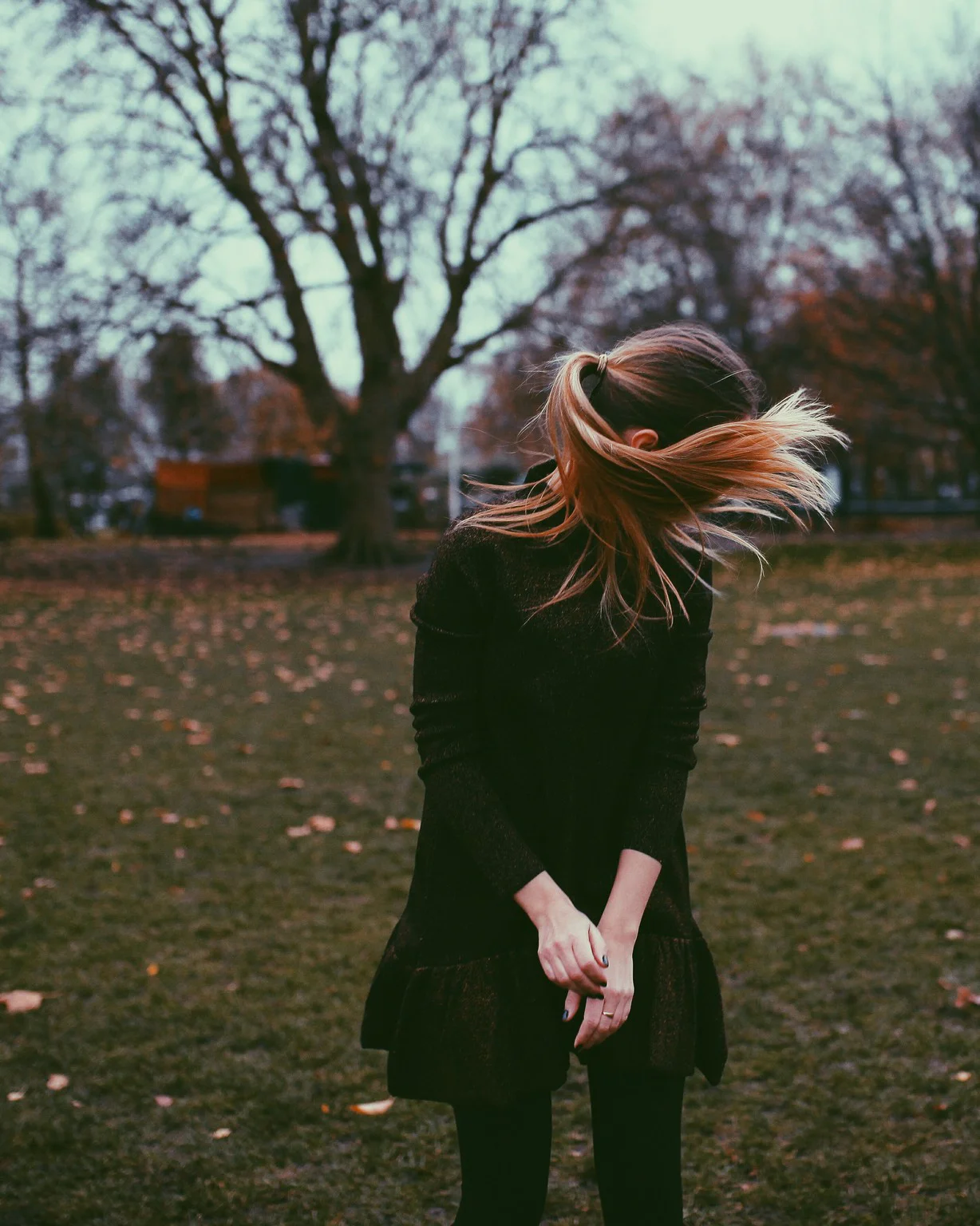 2016-11-21 10.58.56 1.JPG