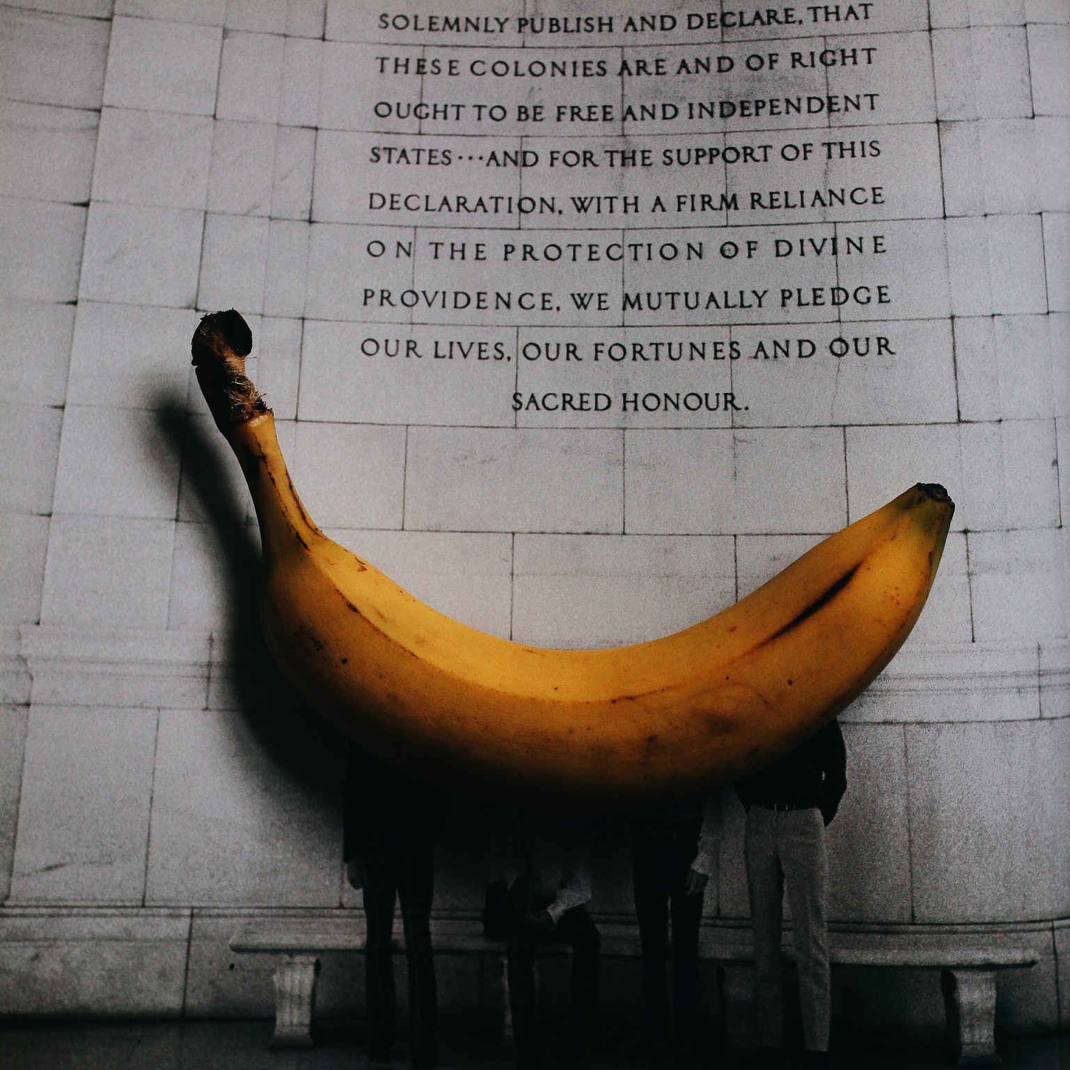 2016-11-21 07.53.33 1.JPG