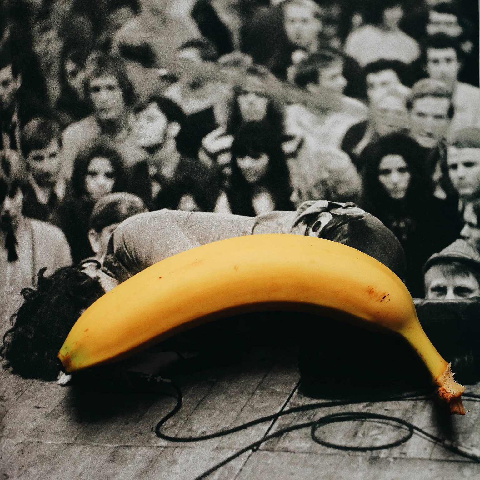 2016-11-21 07.53.47 1.JPG