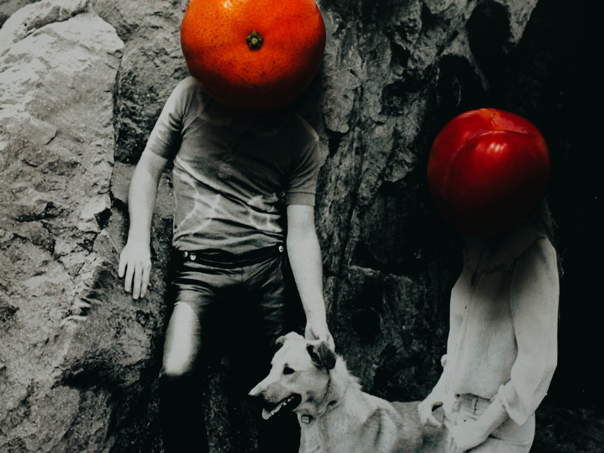 2016-11-21 07.53.57 1.JPG