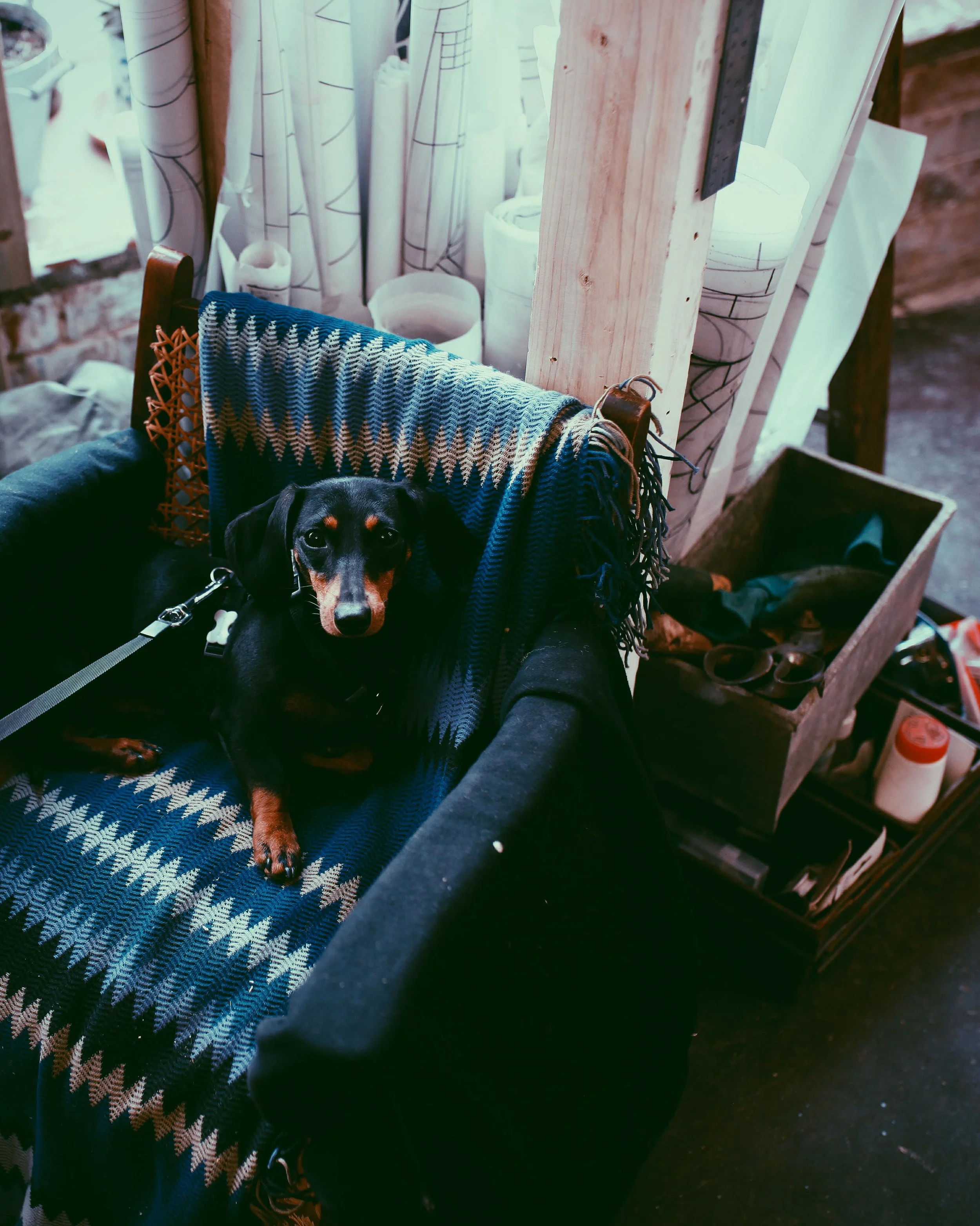 2017-09-17 07.26.00 1.JPG