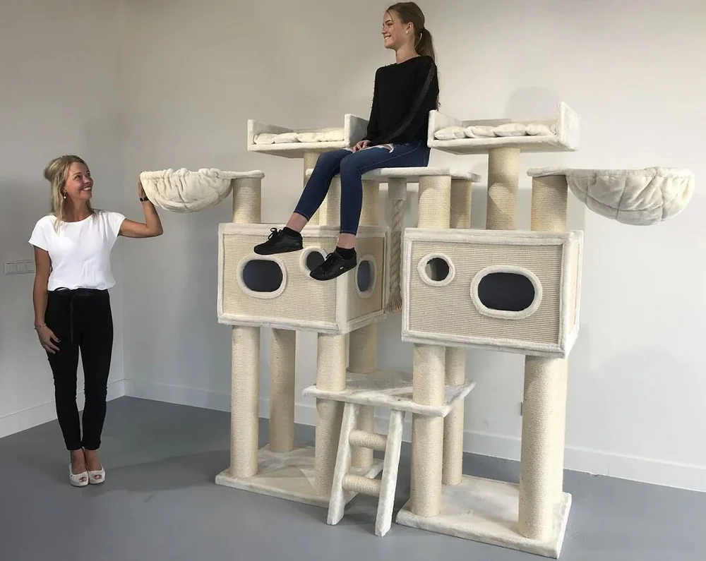 Brand: Cat Tree King