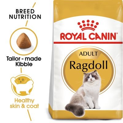 Royal Canin Ragdoll Adult Cat Food - Left out at all times (24/7). 