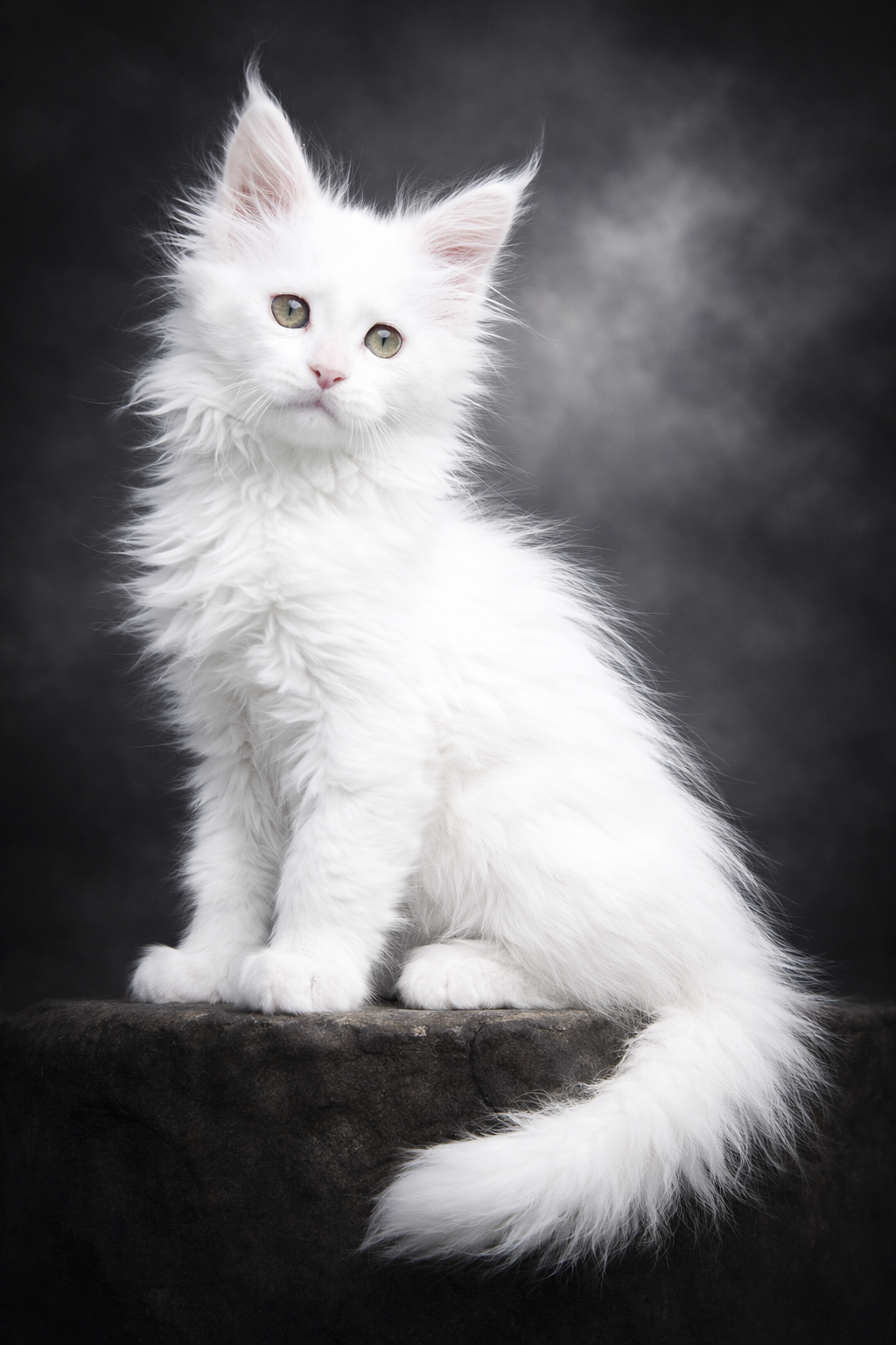 Across time and distance, you're often in my thoughts — and always in my heart.