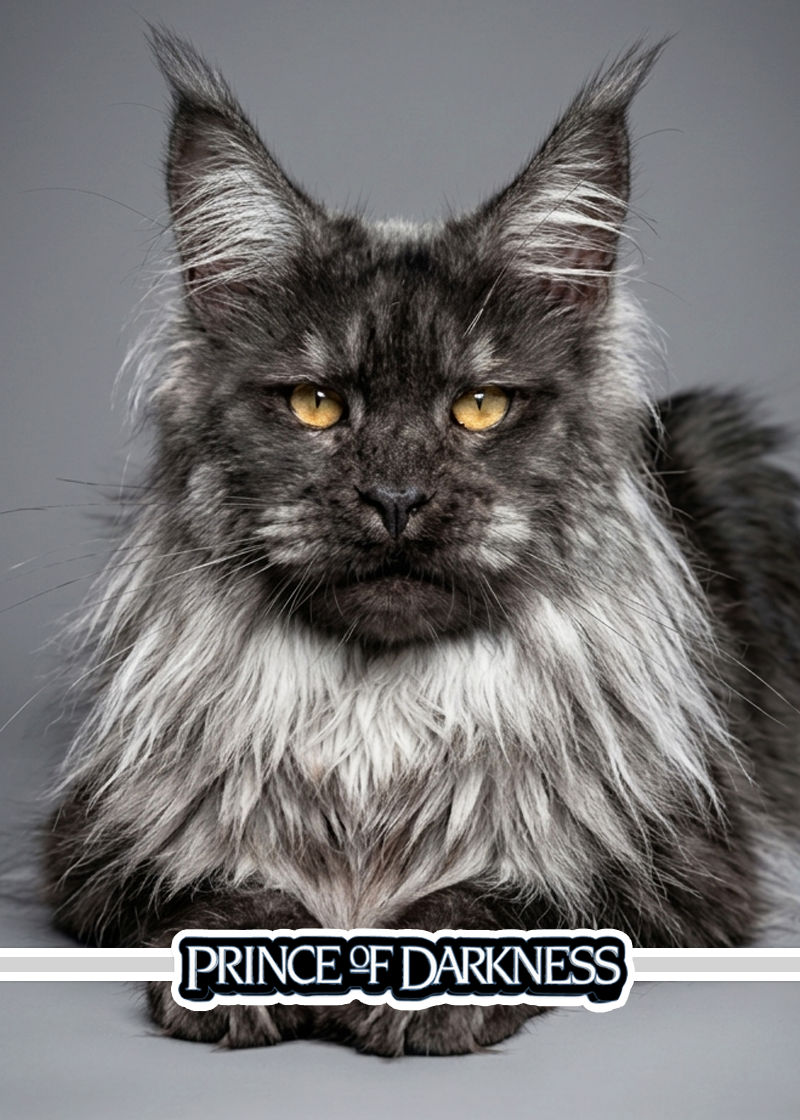 Prince Of Darkness